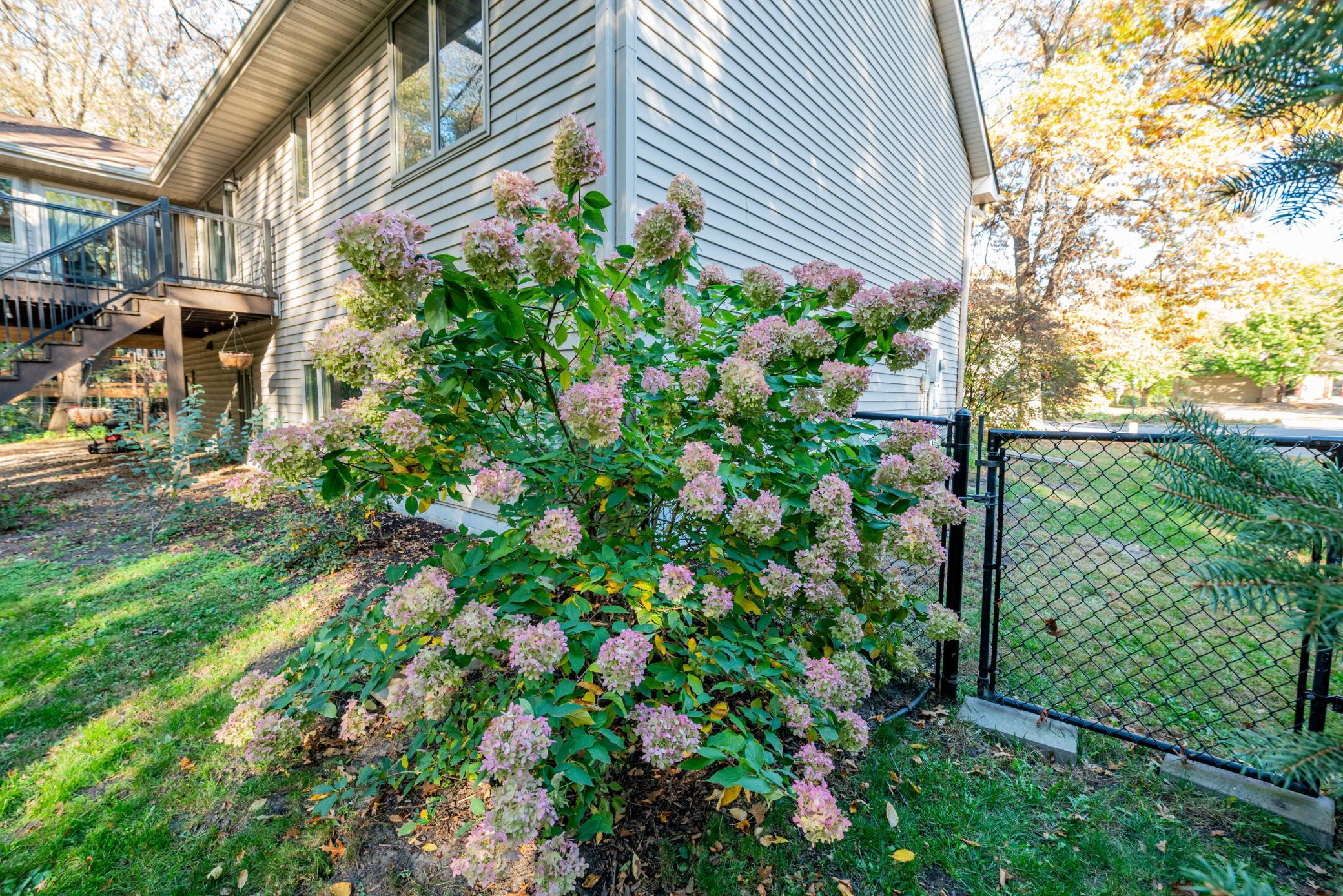 View of Residential at 9314 Harpers Court, Blaine MN 55449, Blaine (54 of 57) - Mike Wilen | Minnesota Team Real Estate