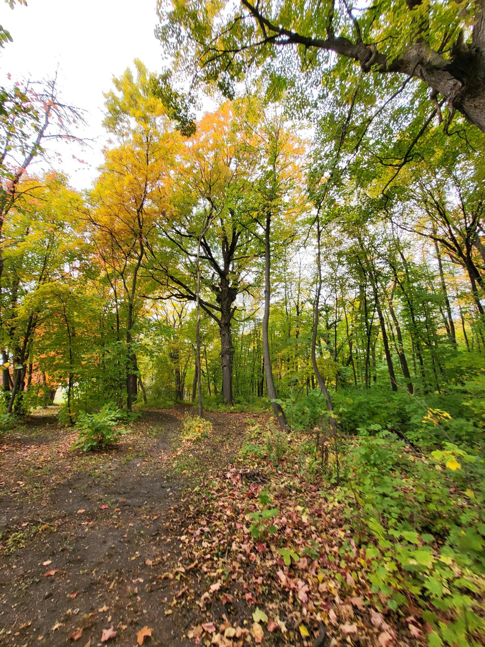 View of Residential at 11320 Highway 7, Watertown MN 55388, Watertown (21 of 21) - Mike Wilen | Minnesota Team Real Estate