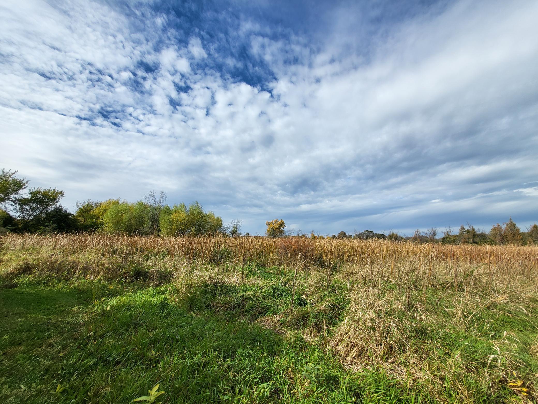 View of Residential at 11320 Highway 7, Watertown MN 55388, Watertown (11 of 21) - Mike Wilen | Minnesota Team Real Estate