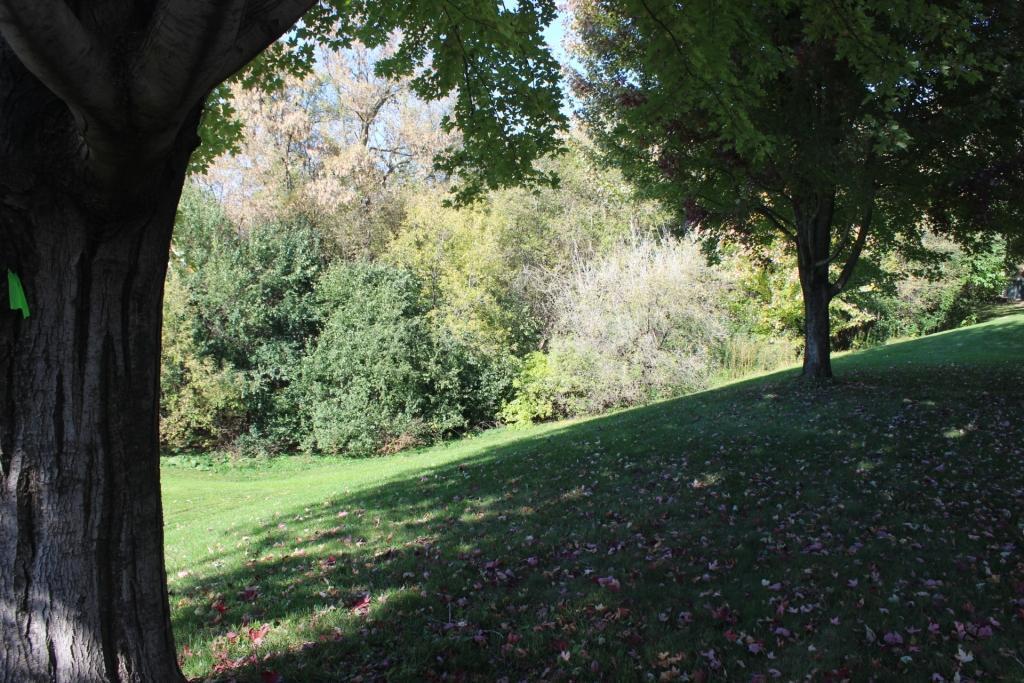 View of Residential at 1913 Fox Ridge Drive #B, West Saint Paul MN 55118, West Saint Paul (17 of 18) - Mike Wilen | Minnesota Team Real Estate