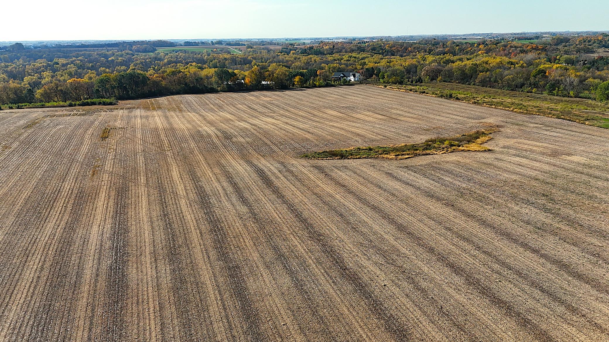 View of Land at 1XXX County Road 8, Waverly - Mike Wilen | Minnesota Team Real Estate