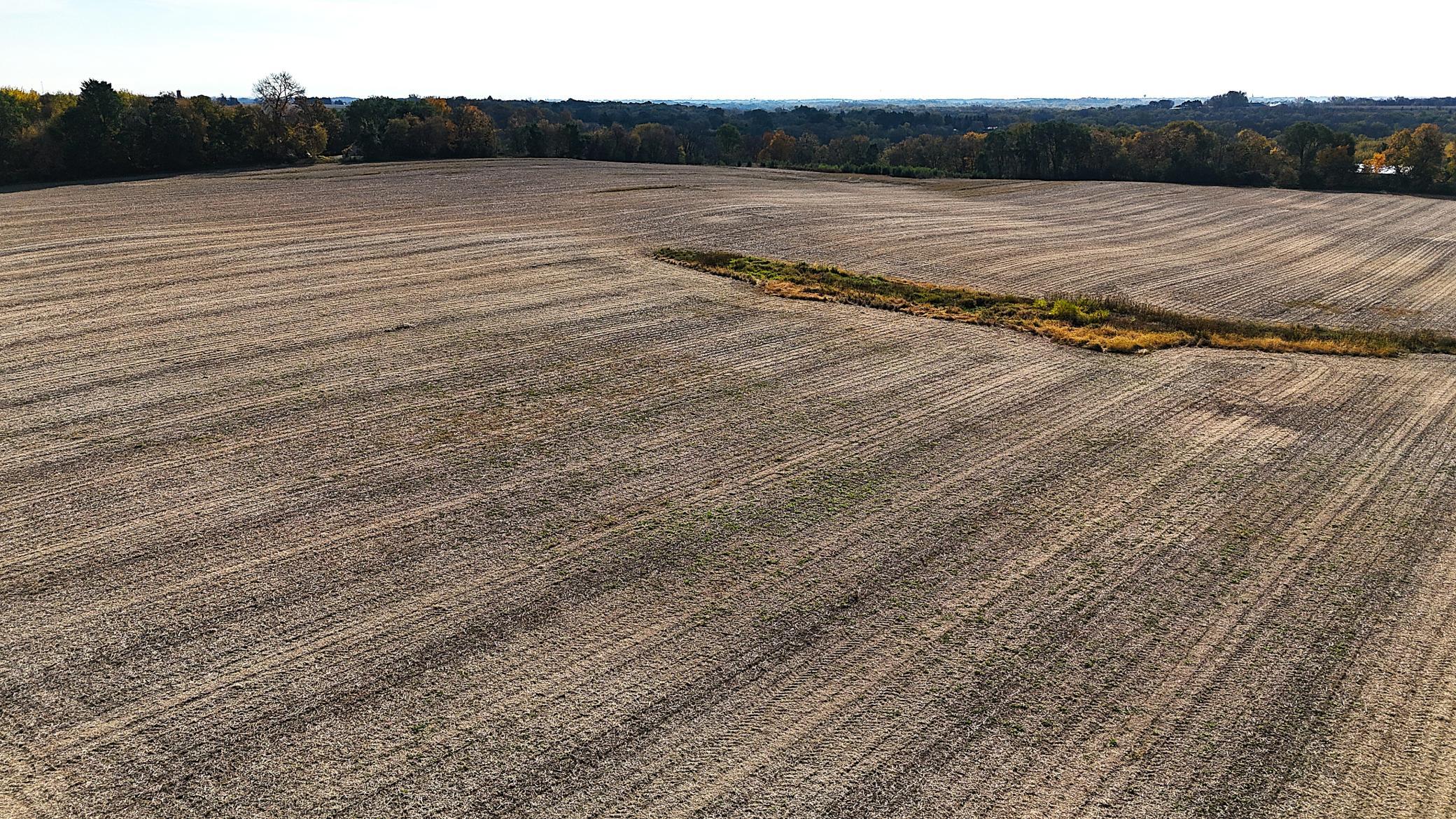 View of Land at 1XXX County Road 8, Waverly MN 55390, Waverly (7 of 10) - Mike Wilen | Minnesota Team Real Estate