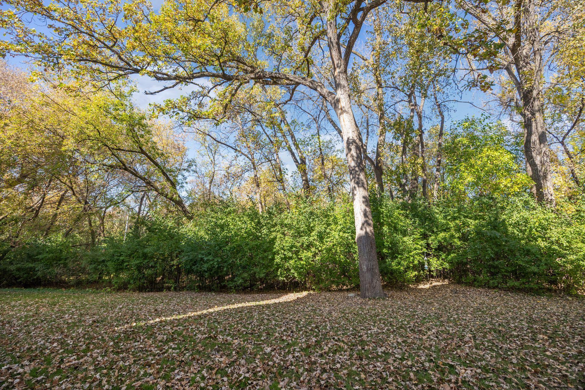 View of Residential at 3806 32nd Street, Minneapolis MN 55416, Minneapolis (50 of 51) - Mike Wilen | Minnesota Team Real Estate