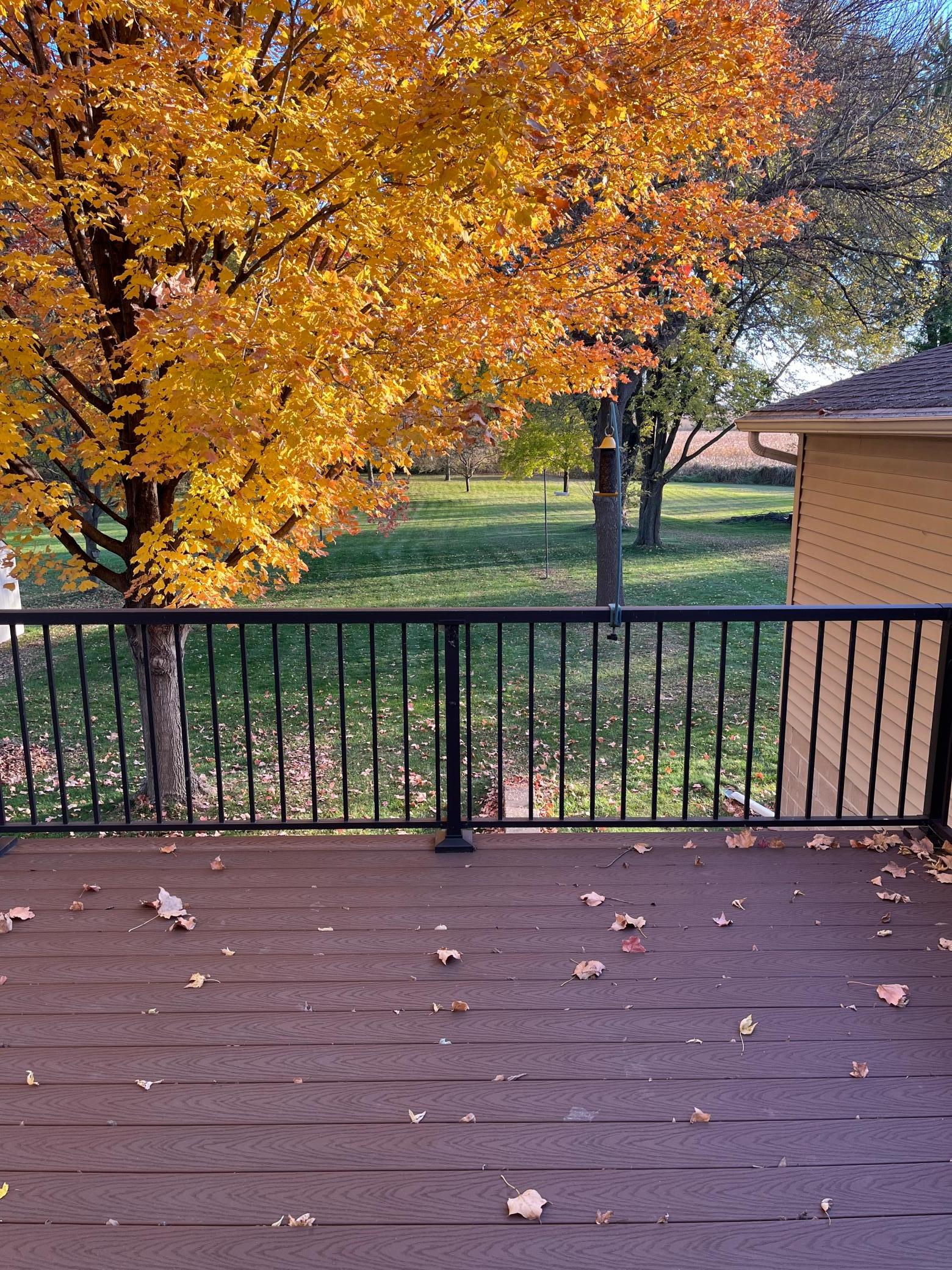 View of Residential at 125 Lake Street, Norwood Young America MN 55368, Norwood Young America (8 of 43) - Mike Wilen | Minnesota Team Real Estate