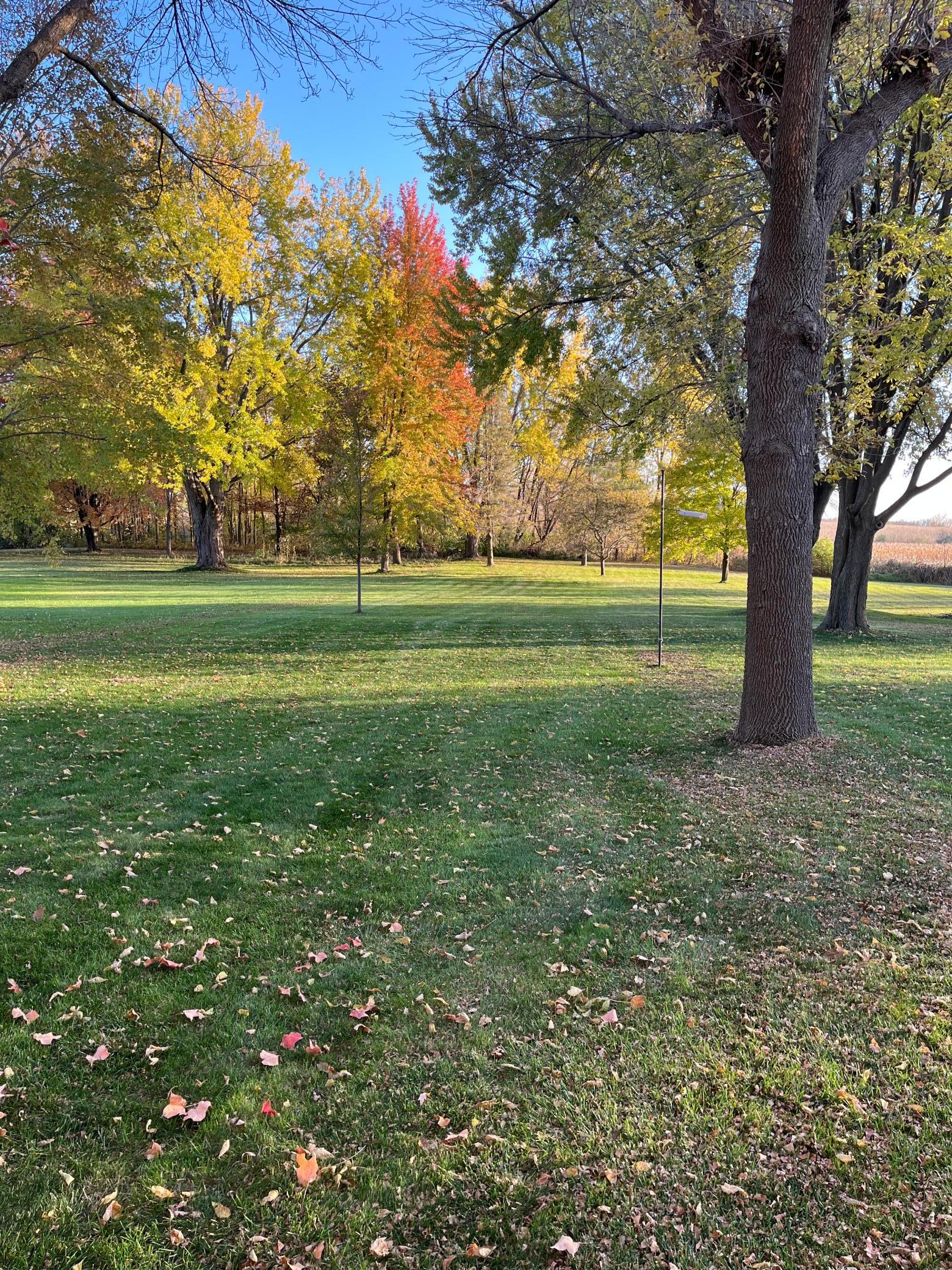 View of Residential at 125 Lake Street, Norwood Young America MN 55368, Norwood Young America (9 of 43) - Mike Wilen | Minnesota Team Real Estate