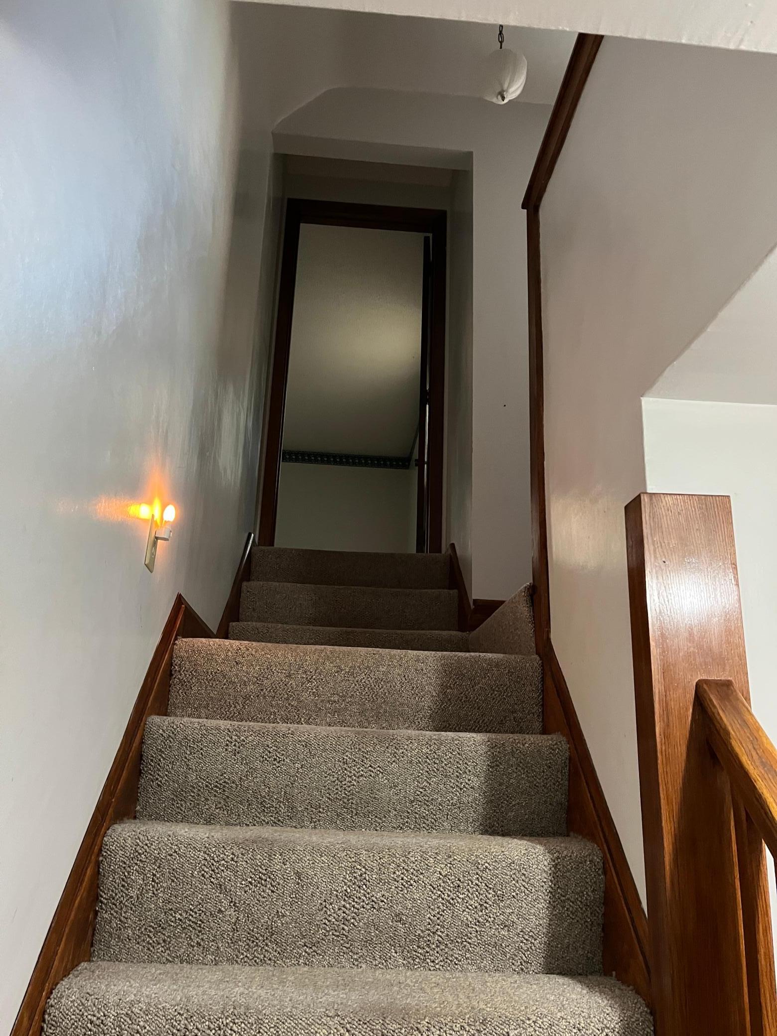 View of Residential at 125 Lake Street, Norwood Young America MN 55368, Norwood Young America (27 of 43) - Mike Wilen | Minnesota Team Real Estate