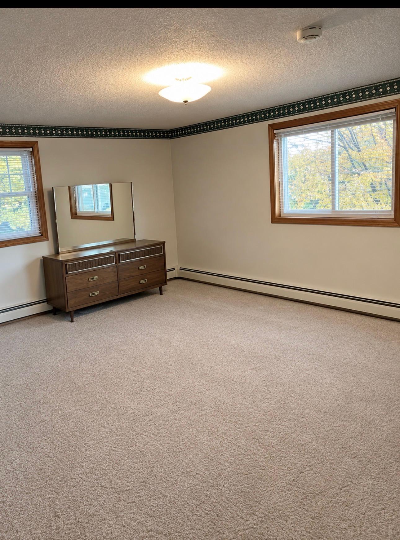 View of Residential at 125 Lake Street, Norwood Young America MN 55368, Norwood Young America (29 of 43) - Mike Wilen | Minnesota Team Real Estate