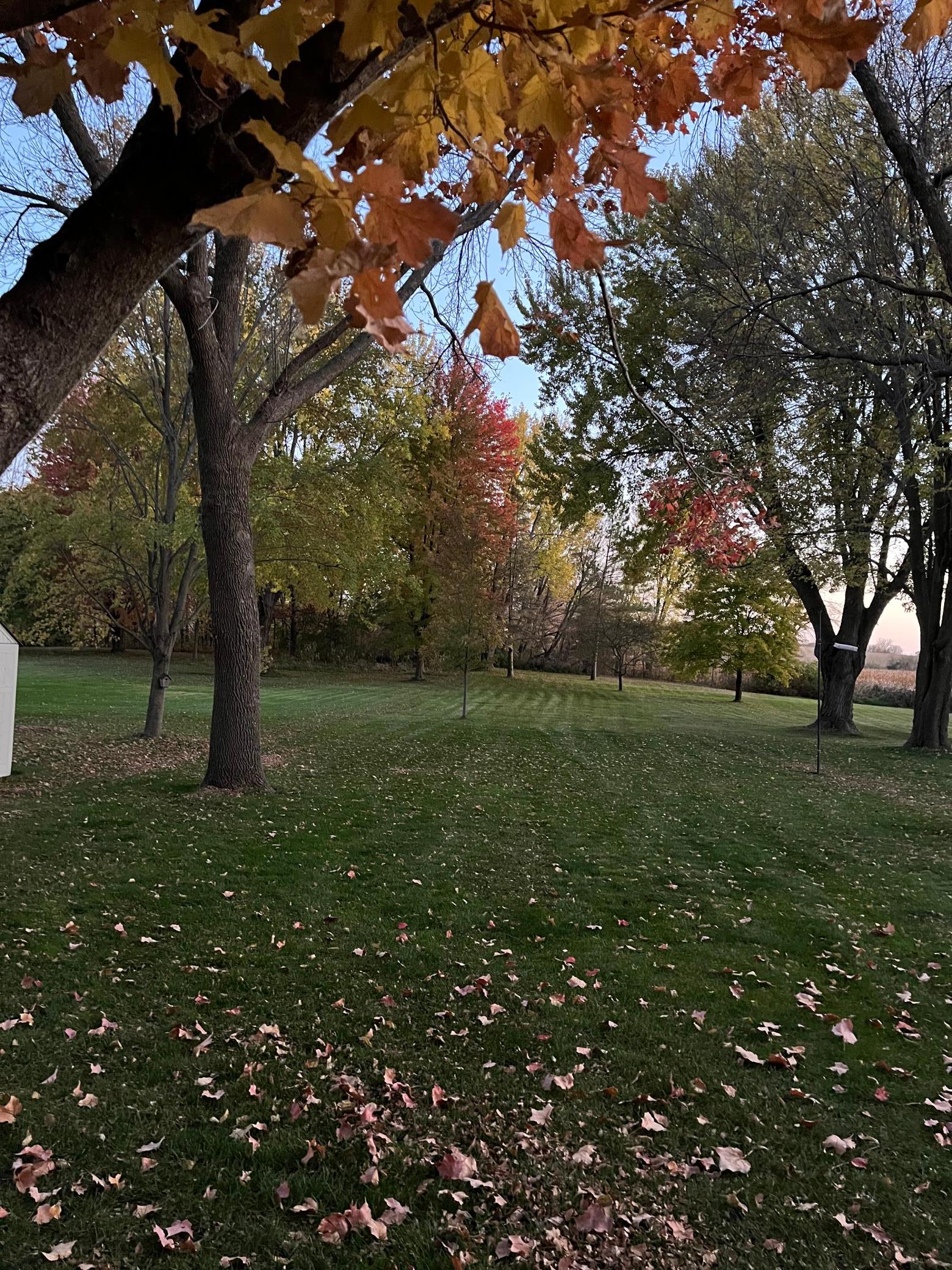 View of Residential at 125 Lake Street, Norwood Young America MN 55368, Norwood Young America (13 of 43) - Mike Wilen | Minnesota Team Real Estate