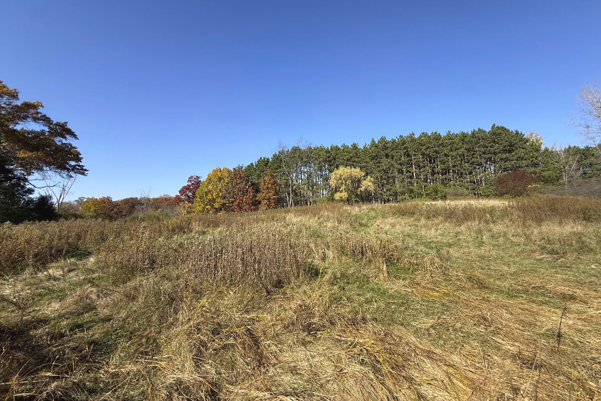 View of Land at TBD Ideal Ave N, Grant MN 55110, Grant (13 of 20) - Mike Wilen | Minnesota Team Real Estate