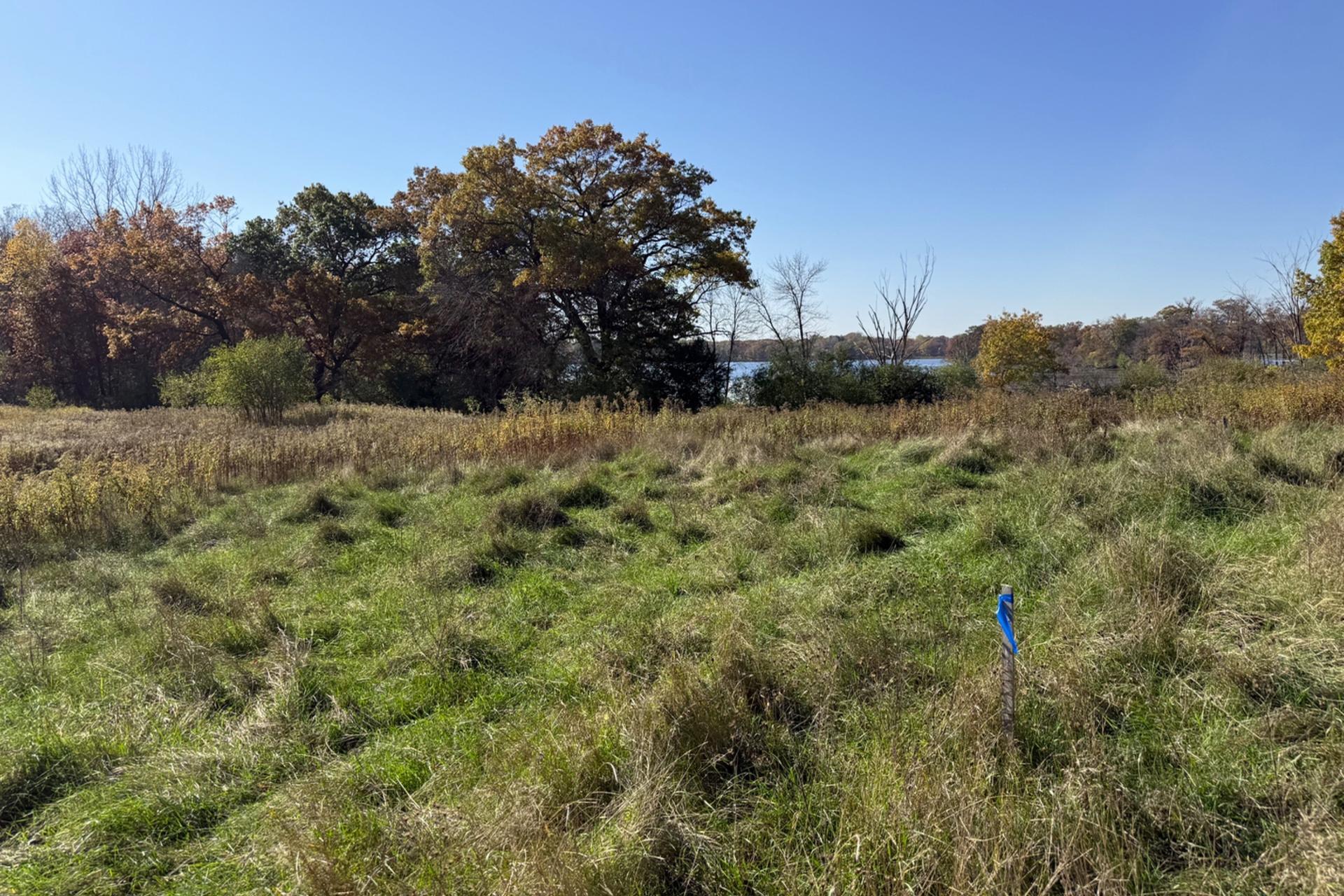 View of Land at TBD Ideal Ave N, Grant MN 55110, Grant (9 of 20) - Mike Wilen | Minnesota Team Real Estate