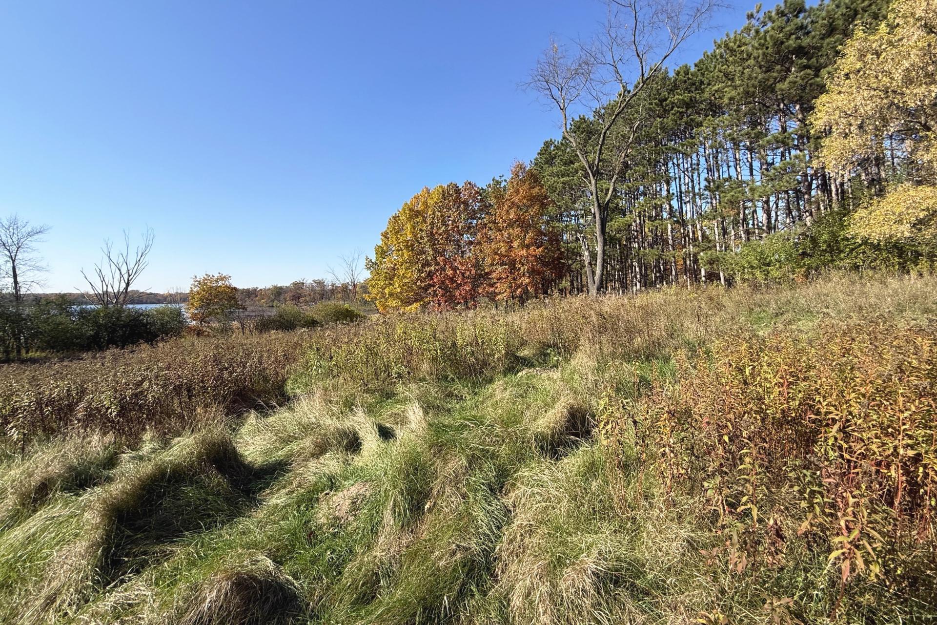 View of Land at TBD Ideal Ave N, Grant MN 55110, Grant (11 of 20) - Mike Wilen | Minnesota Team Real Estate