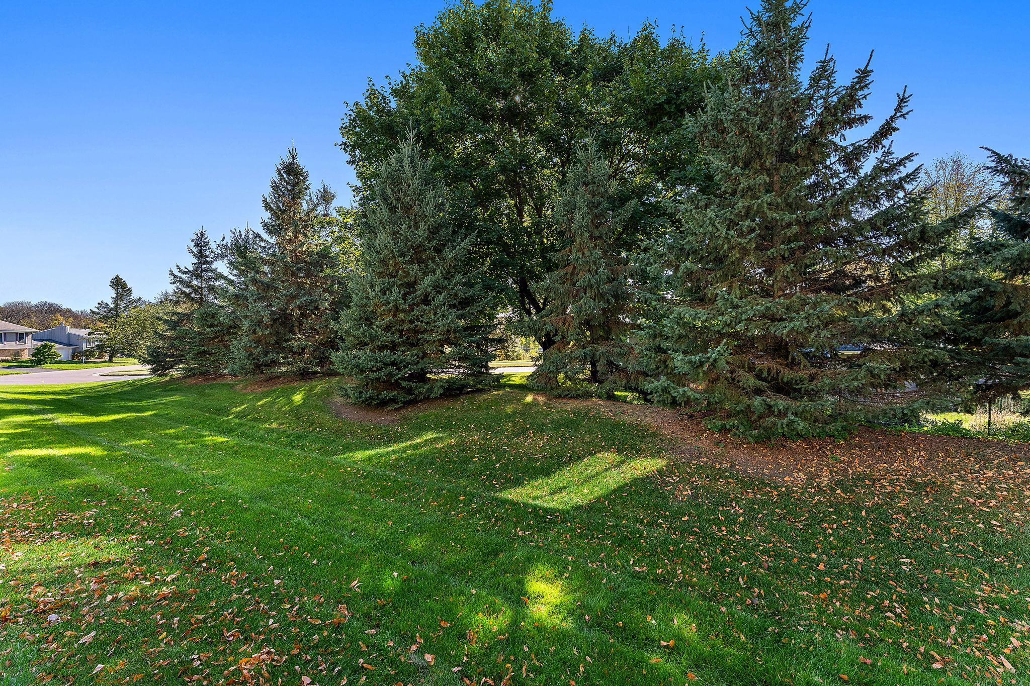 View of Residential at 11113 Hyland Terrace, Eden Prairie MN 55344, Eden Prairie (8 of 38) - Mike Wilen | Minnesota Team Real Estate