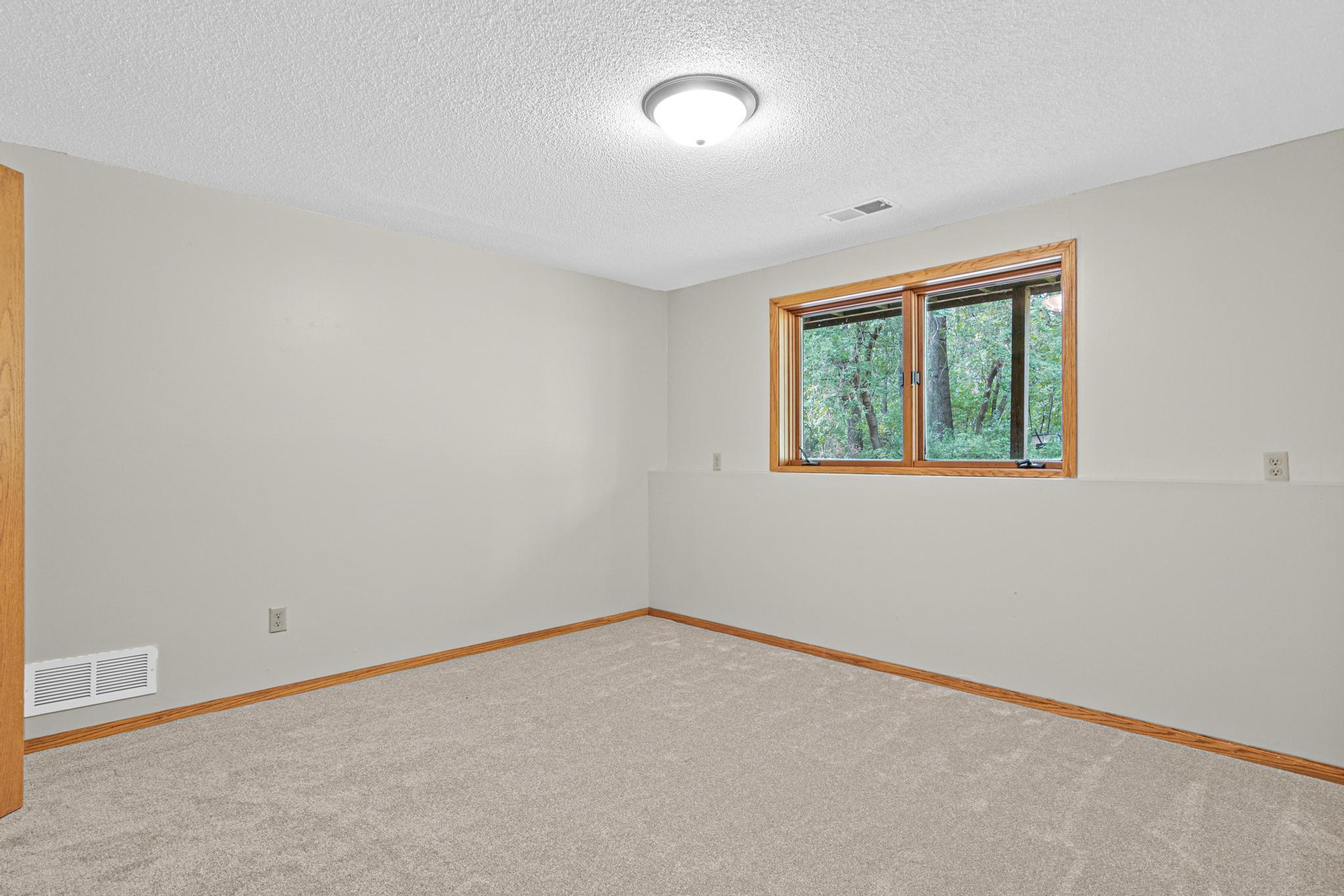 View of Residential at 28323 128th Street, Baldwin Twp MN 55398, Baldwin Twp (33 of 48) - Mike Wilen | Minnesota Team Real Estate