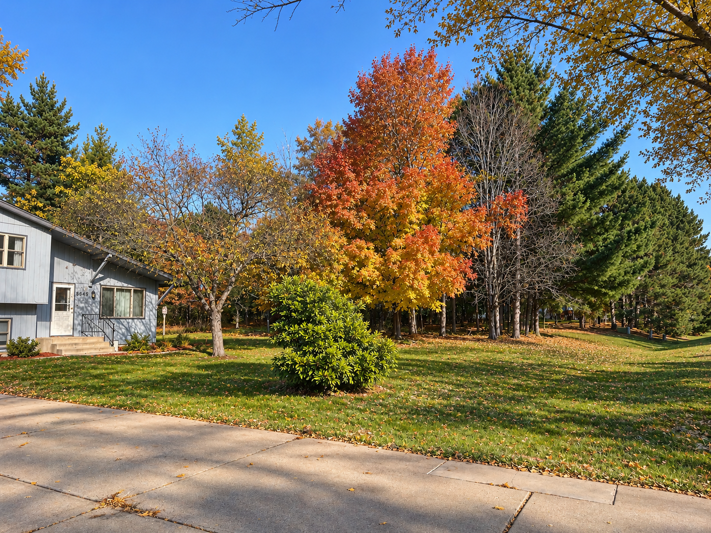 View of Residential at 8645 168th Avenue, Ramsey MN 55303, Ramsey (4 of 22) - Mike Wilen | Minnesota Team Real Estate