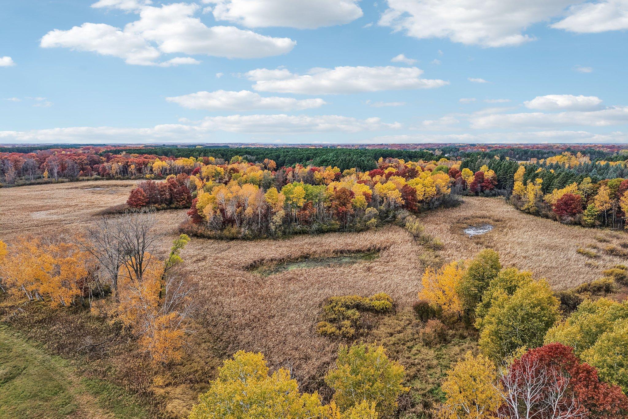 View of Land at TBD University Avenue, Isanti MN 55040, Isanti (11 of 20) - Mike Wilen | Minnesota Team Real Estate