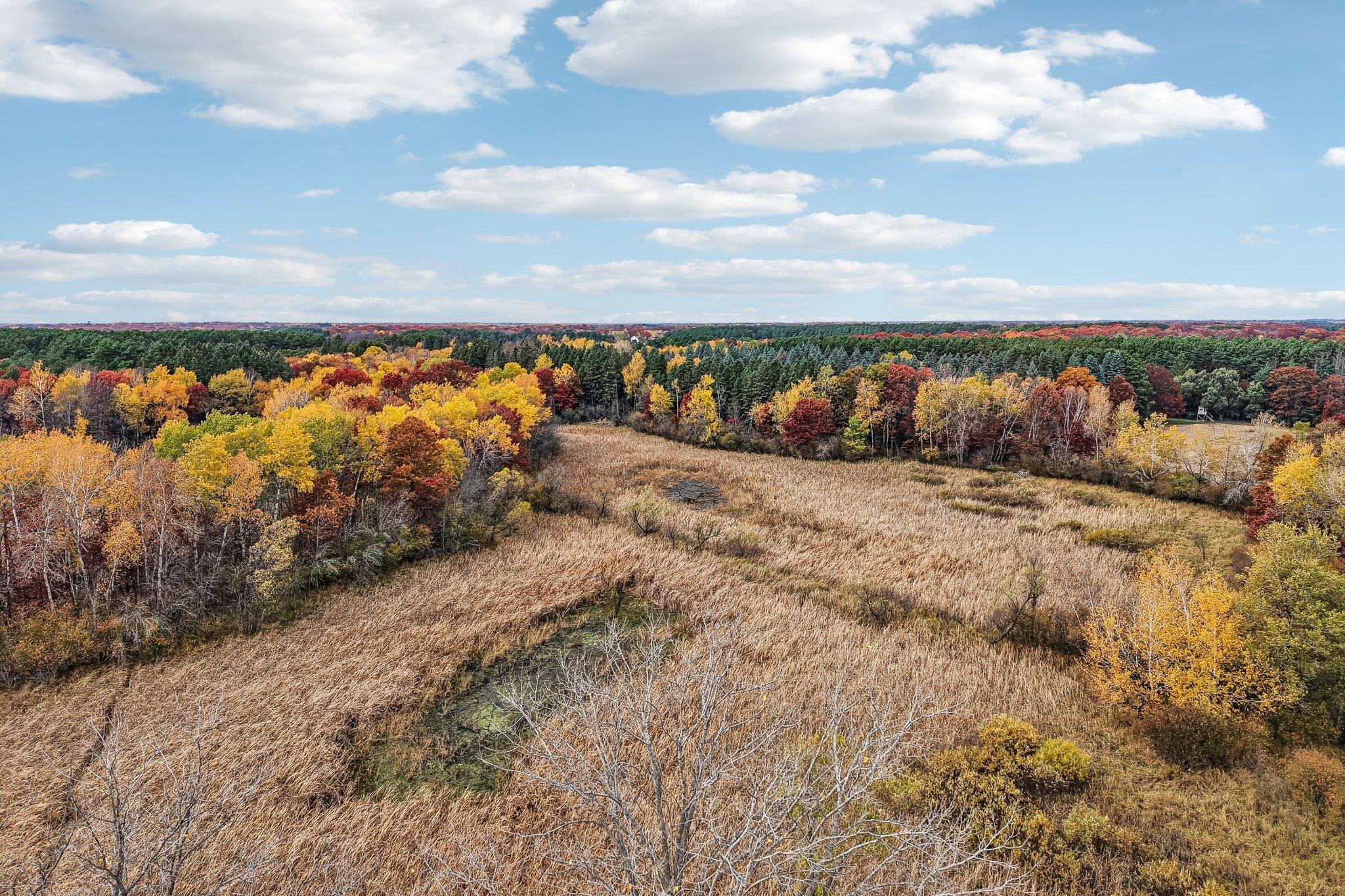 View of Land at TBD University Avenue, Isanti MN 55040, Isanti (8 of 20) - Mike Wilen | Minnesota Team Real Estate