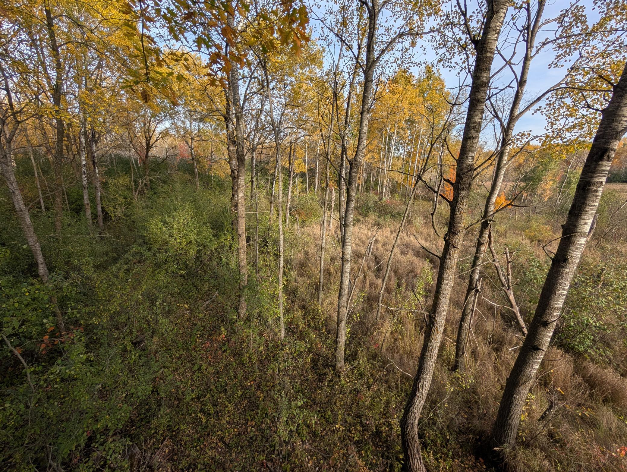 View of Land at TBD 90th Avenue, Milaca MN 56353, Milaca (10 of 19) - Mike Wilen | Minnesota Team Real Estate