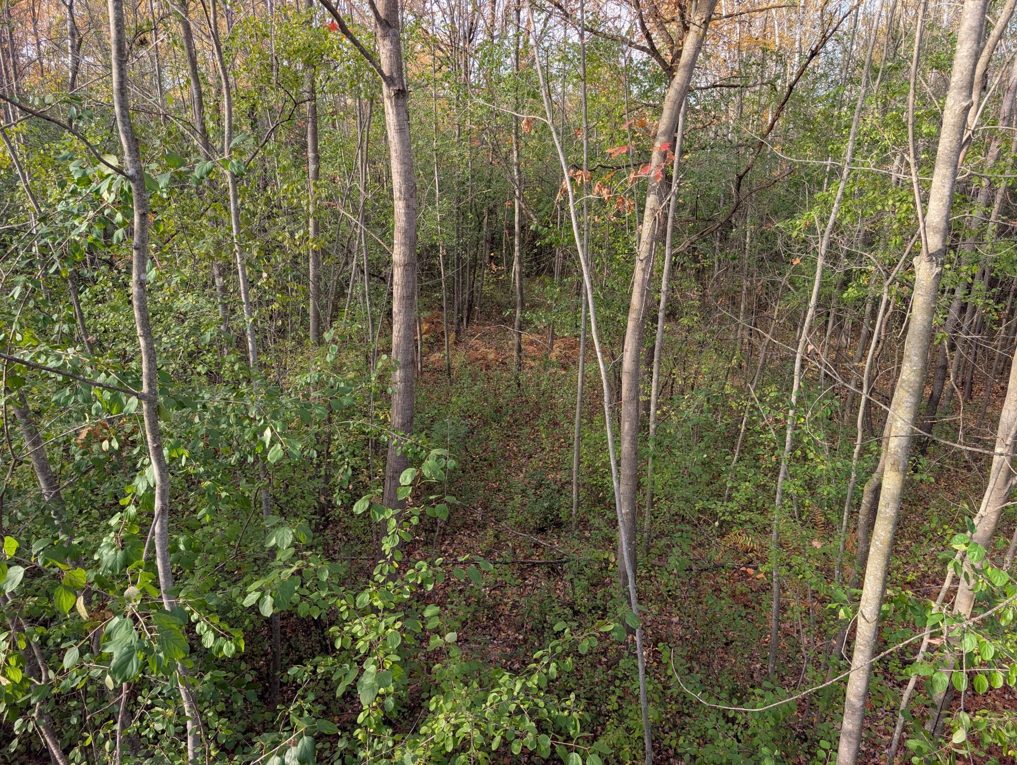 View of Land at TBD 90th Avenue, Milaca MN 56353, Milaca (8 of 19) - Mike Wilen | Minnesota Team Real Estate