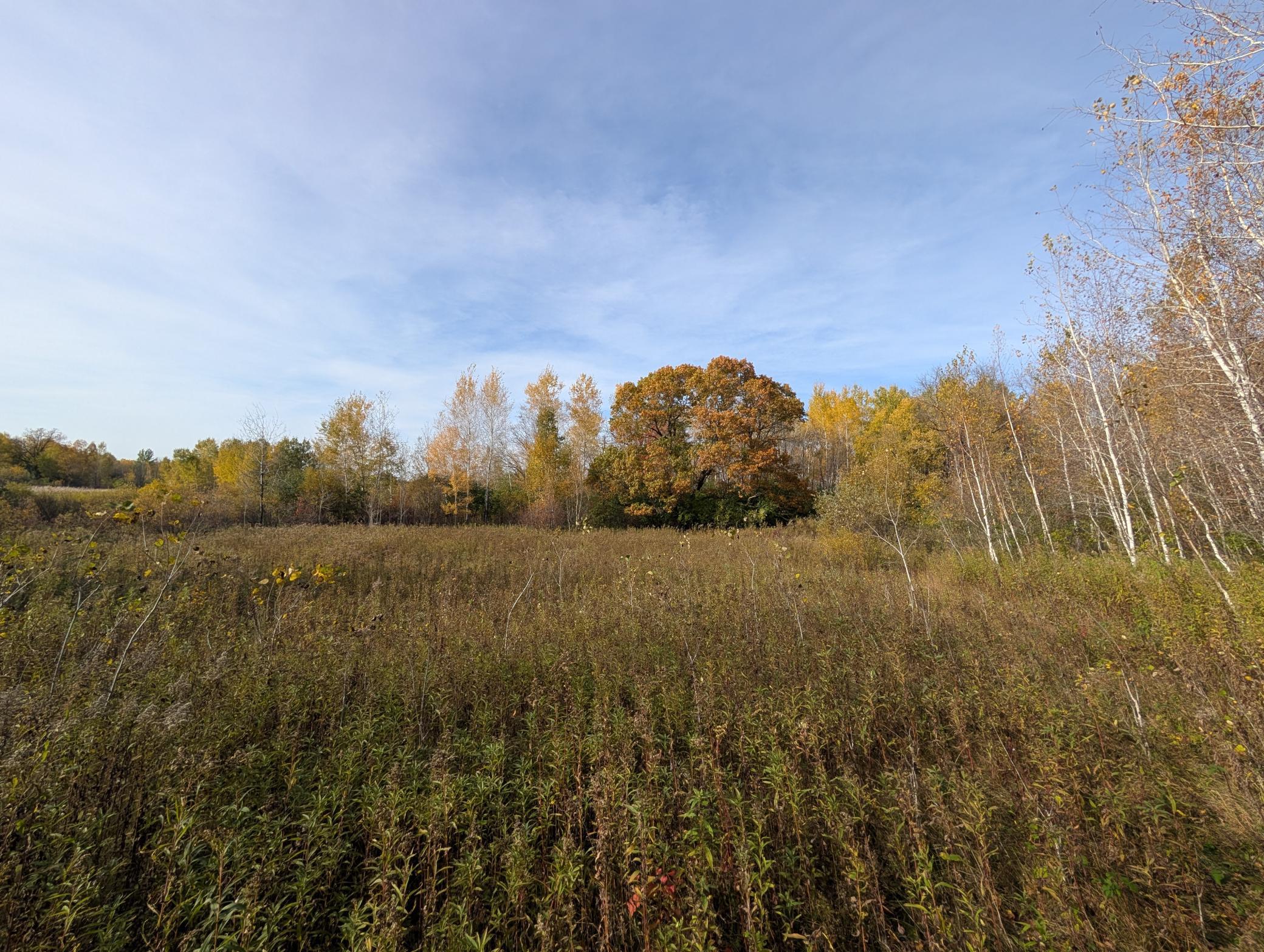 View of Land at TBD 90th Avenue, Milaca MN 56353, Milaca (2 of 19) - Mike Wilen | Minnesota Team Real Estate