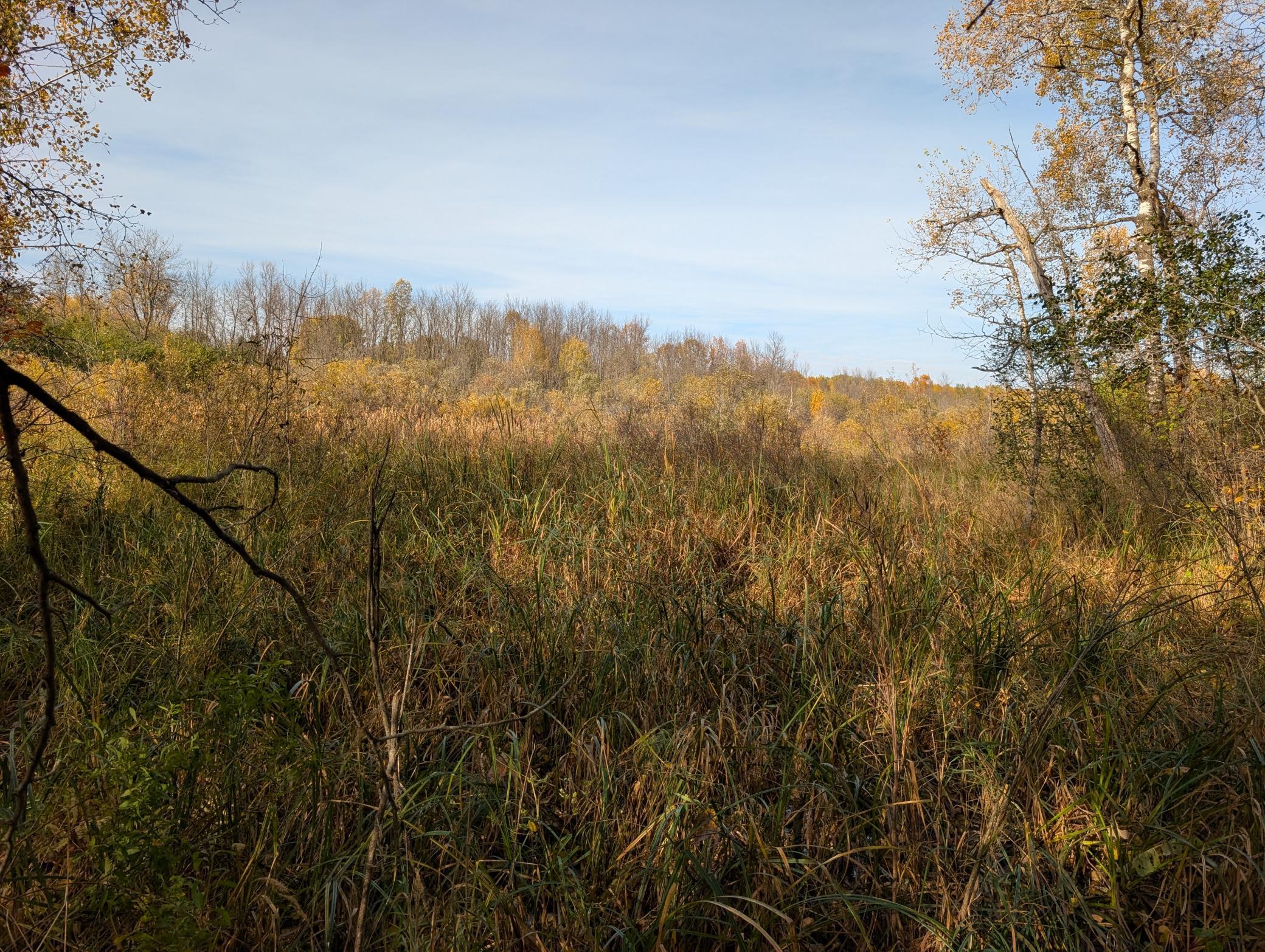 View of Land at TBD 90th Avenue, Milaca MN 56353, Milaca (5 of 19) - Mike Wilen | Minnesota Team Real Estate