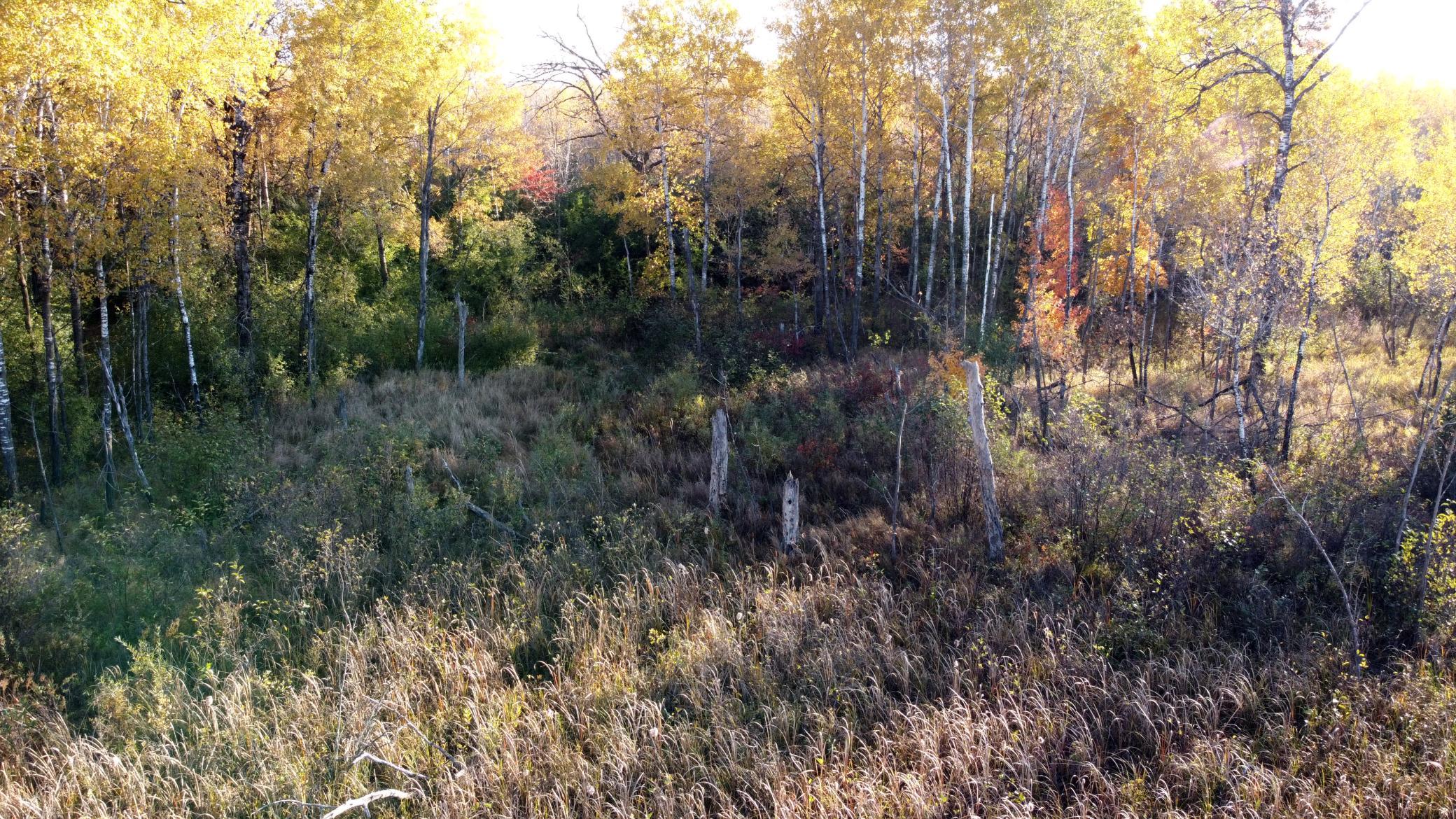 View of Land at TBD 90th Avenue, Milaca MN 56353, Milaca (19 of 19) - Mike Wilen | Minnesota Team Real Estate