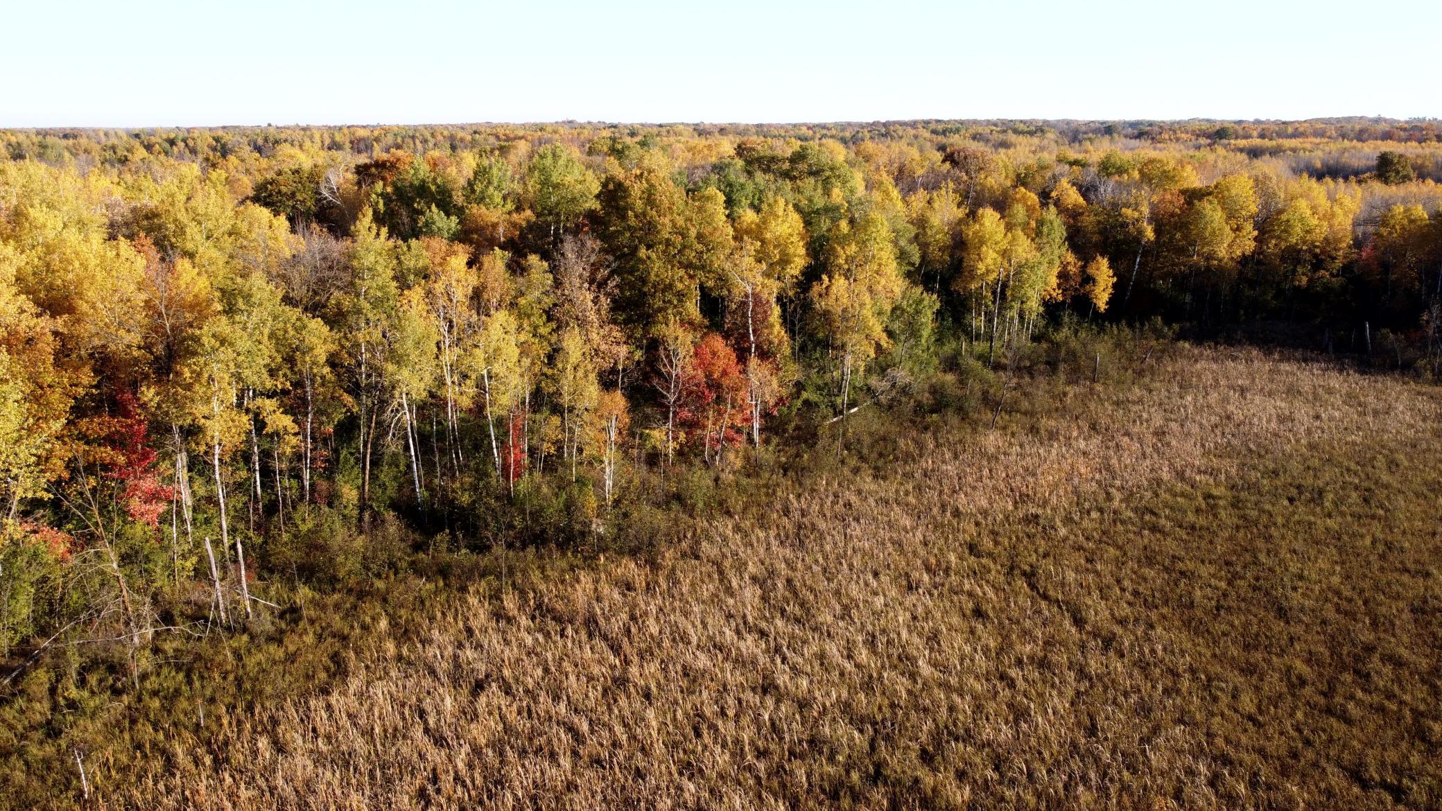 View of Land at TBD 90th Avenue, Milaca MN 56353, Milaca (18 of 19) - Mike Wilen | Minnesota Team Real Estate