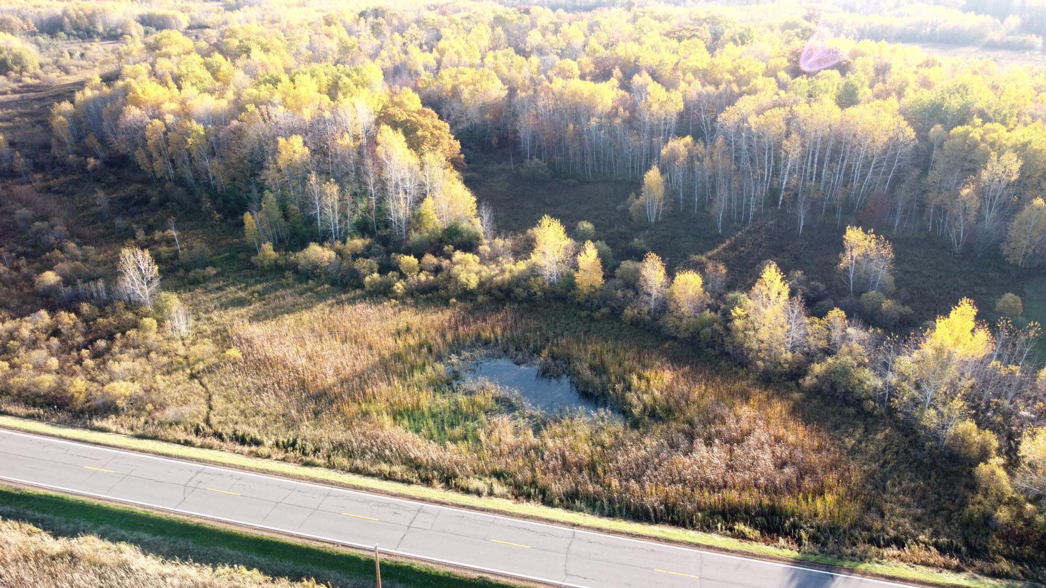 View of Land at TBD 90th Avenue, Milaca - Mike Wilen | Minnesota Team Real Estate