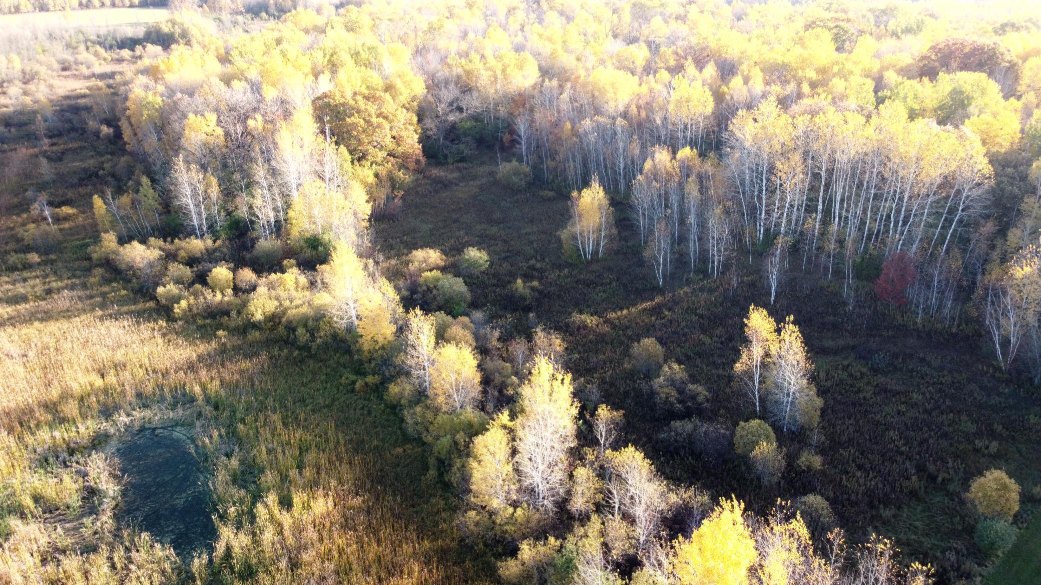 View of Land at TBD 90th Avenue, Milaca MN 56353, Milaca (17 of 19) - Mike Wilen | Minnesota Team Real Estate