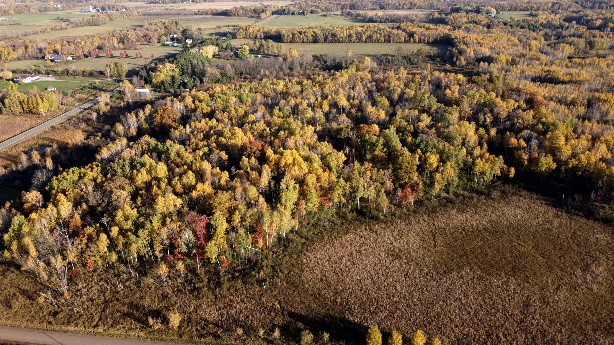 View of Land at TBD 90th Avenue, Milaca MN 56353, Milaca (4 of 19) - Mike Wilen | Minnesota Team Real Estate