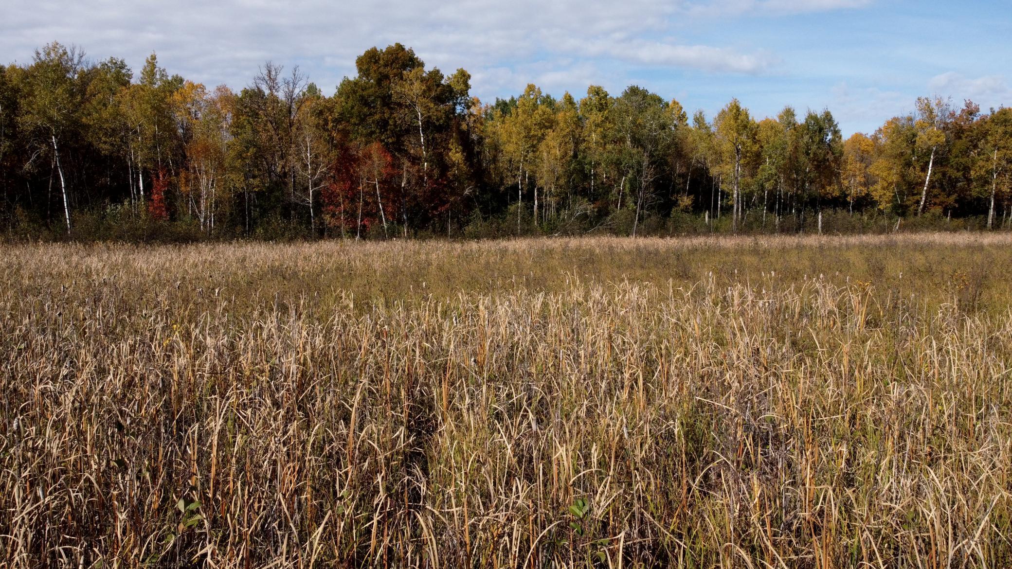 View of Land at TBD 90th Avenue, Milaca MN 56353, Milaca (15 of 19) - Mike Wilen | Minnesota Team Real Estate