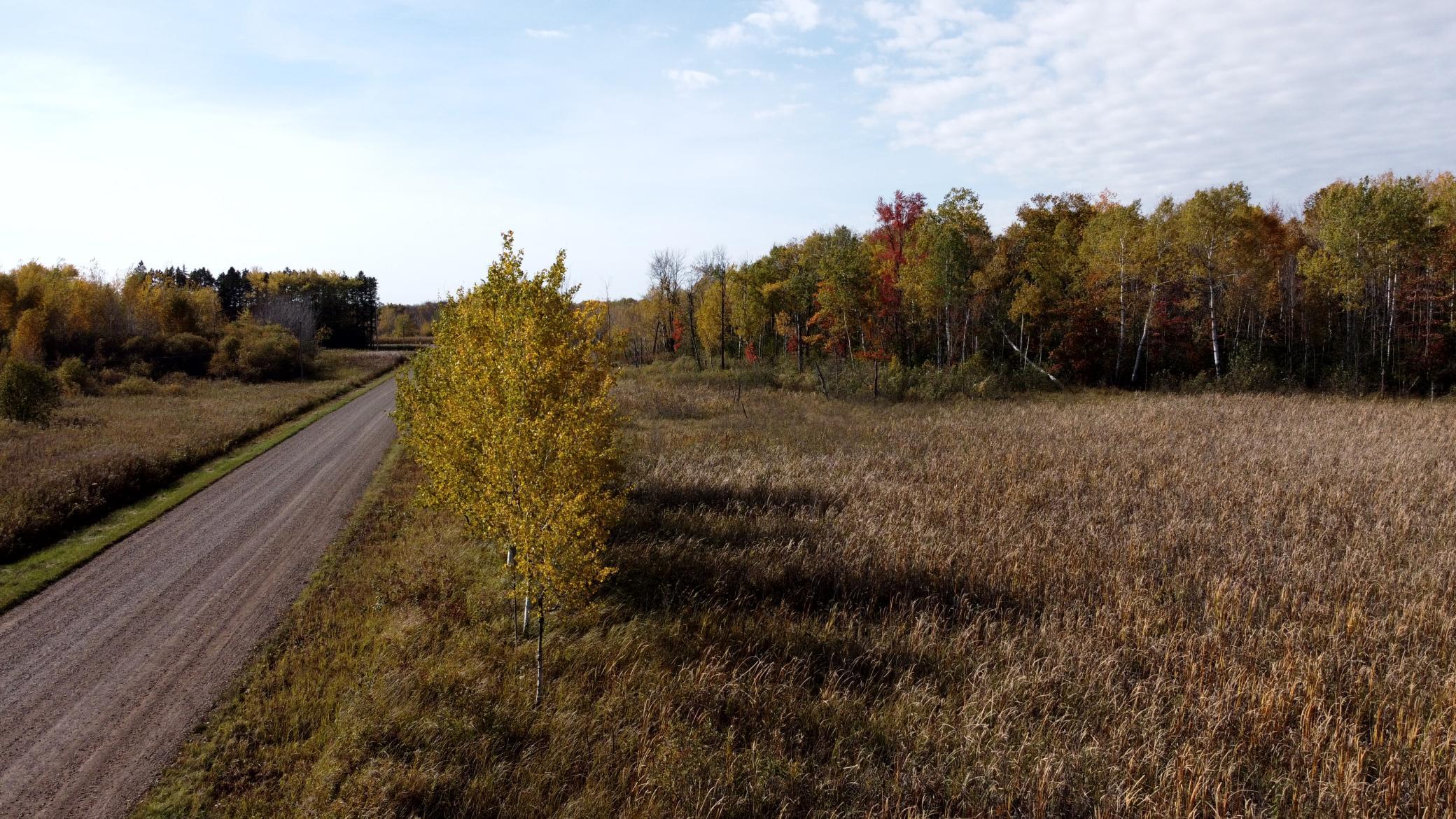 View of Land at TBD 90th Avenue, Milaca MN 56353, Milaca (14 of 19) - Mike Wilen | Minnesota Team Real Estate