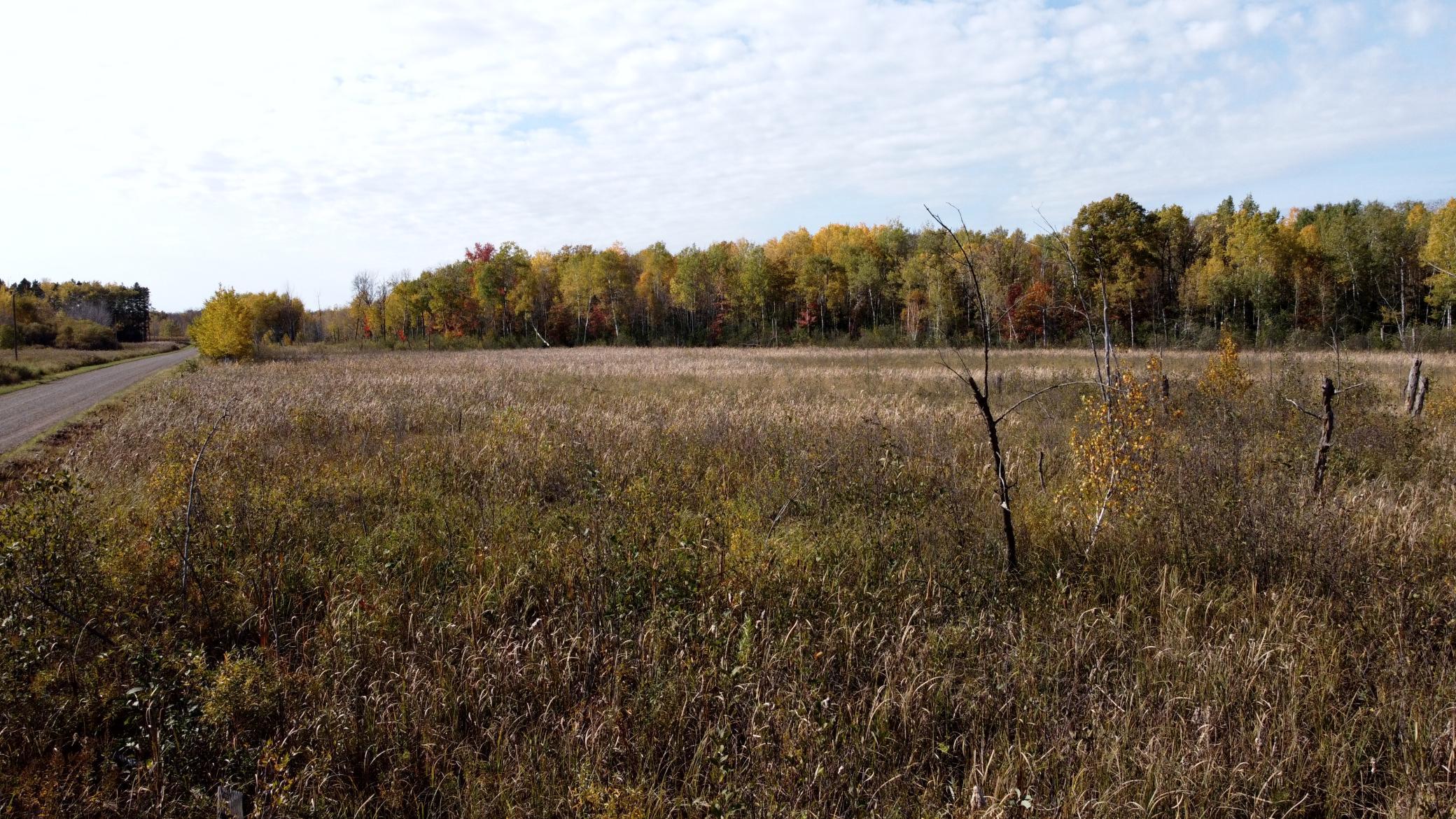 View of Land at TBD 90th Avenue, Milaca MN 56353, Milaca (13 of 19) - Mike Wilen | Minnesota Team Real Estate