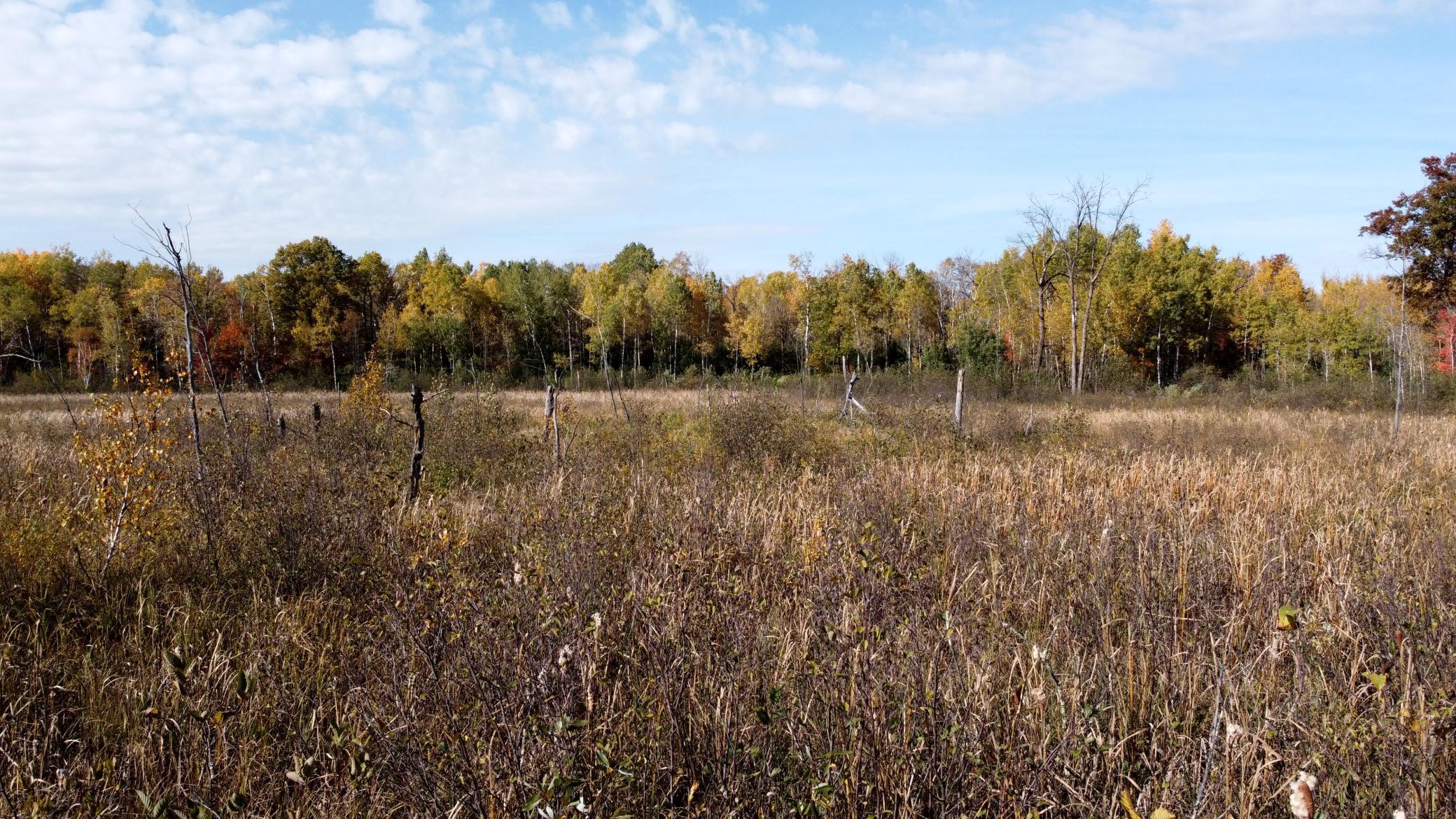 View of Land at TBD 90th Avenue, Milaca MN 56353, Milaca (12 of 19) - Mike Wilen | Minnesota Team Real Estate