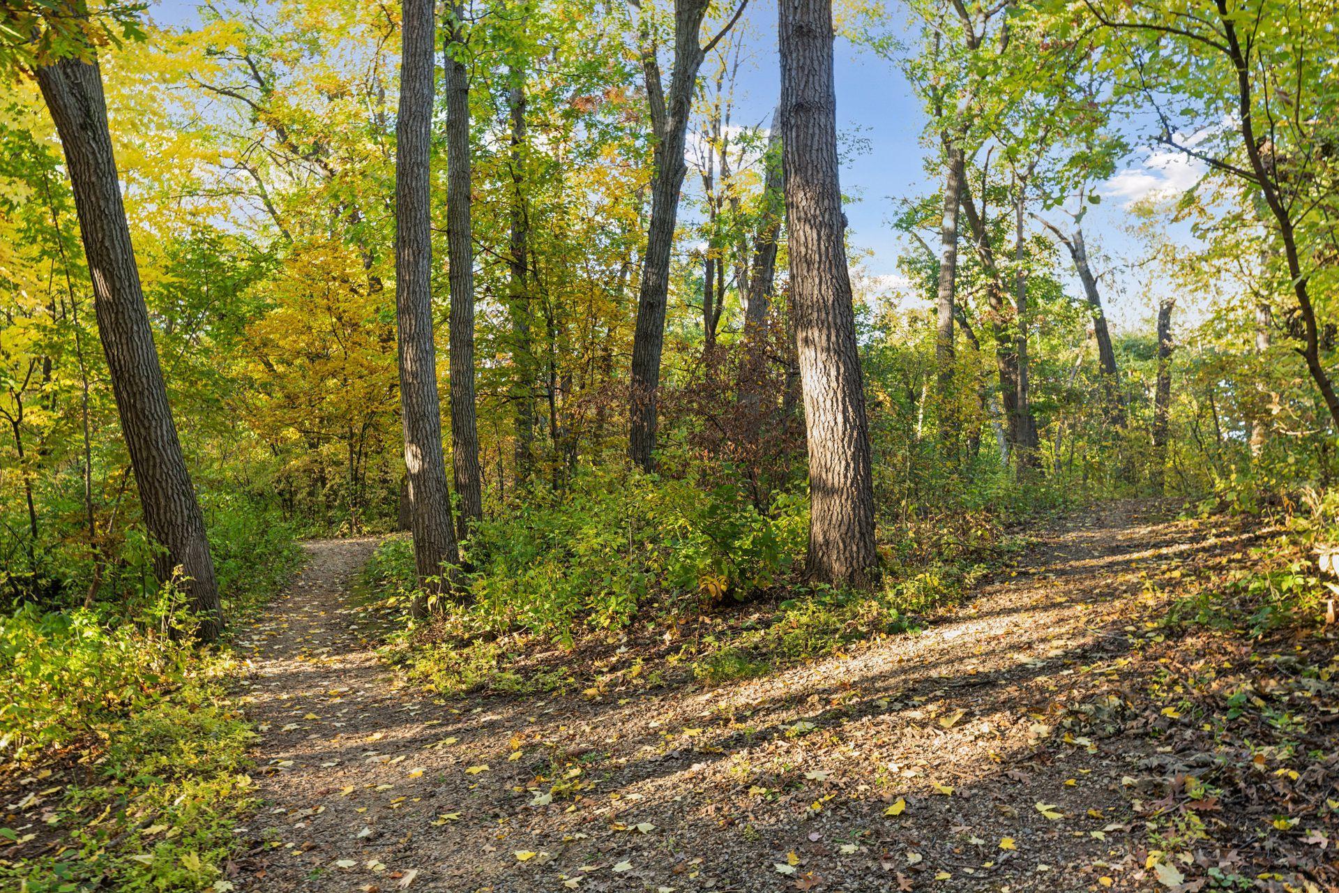 View of Residential at 6533 Wyoming Avenue, Brooklyn Park MN 55428, Brooklyn Park (55 of 70) - Mike Wilen | Minnesota Team Real Estate