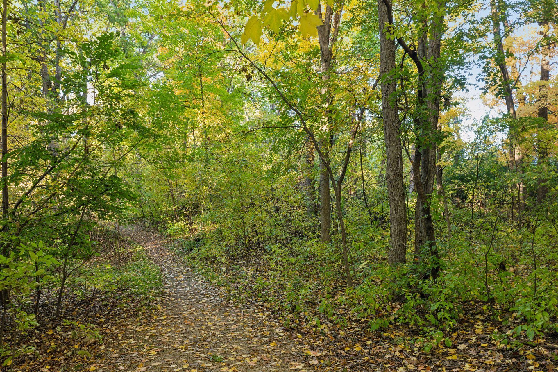 View of Residential at 6533 Wyoming Avenue, Brooklyn Park MN 55428, Brooklyn Park (54 of 70) - Mike Wilen | Minnesota Team Real Estate