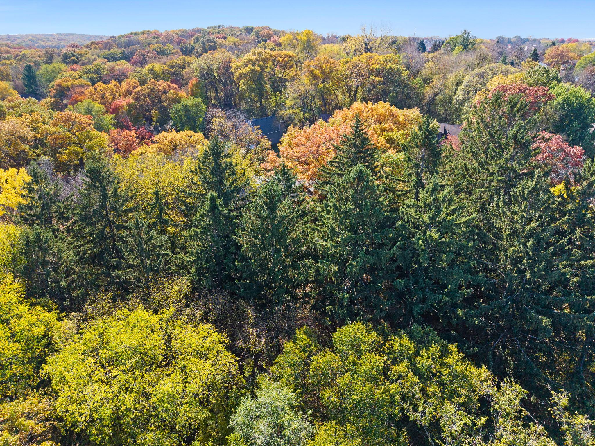 View of Residential at 4640 Parkcliff Drive, Eagan MN 55123, Eagan (82 of 88) - Mike Wilen | Minnesota Team Real Estate