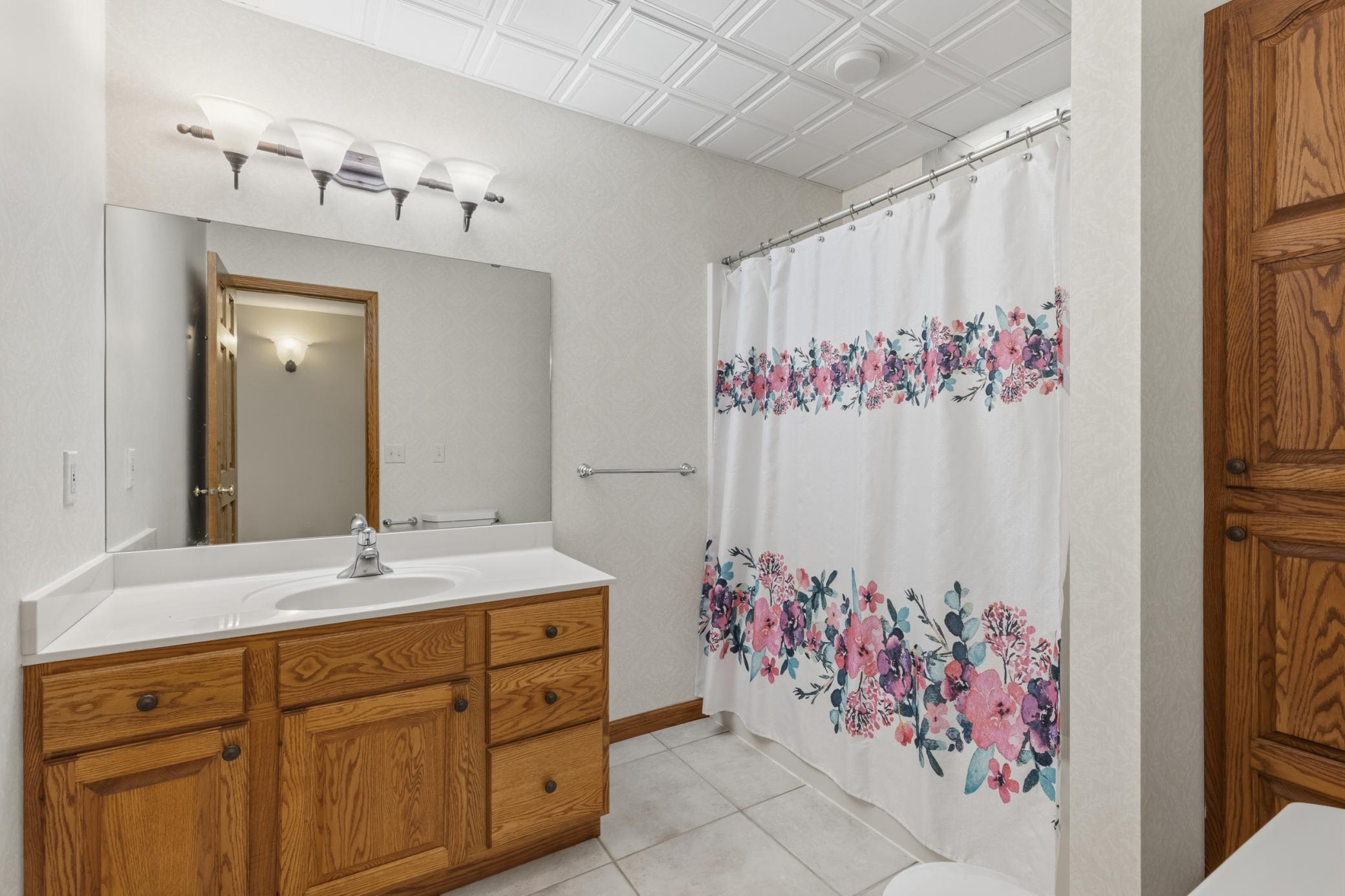 View of Residential at 6386 296th Street, Cannon Falls MN 55009, Cannon Falls (38 of 44) - Mike Wilen | Minnesota Team Real Estate