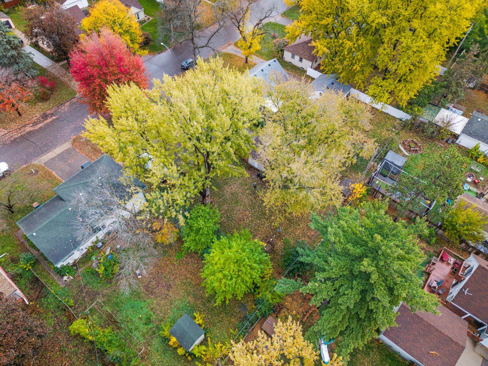 View of Residential at 2901 71st Street, Richfield MN 55423, Richfield (70 of 84) - Mike Wilen | Minnesota Team Real Estate