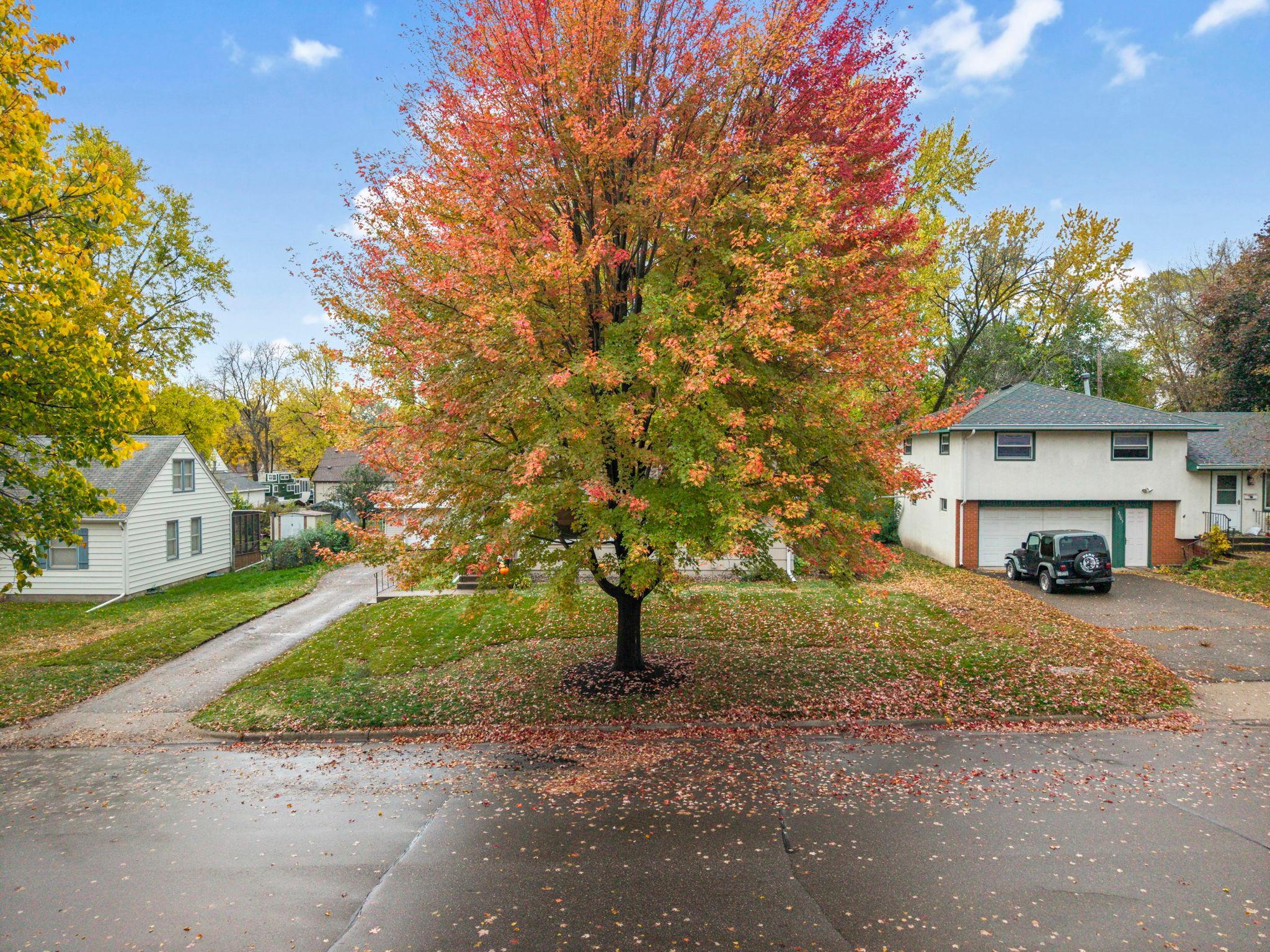 View of Residential at 2901 71st Street, Richfield MN 55423, Richfield (67 of 84) - Mike Wilen | Minnesota Team Real Estate