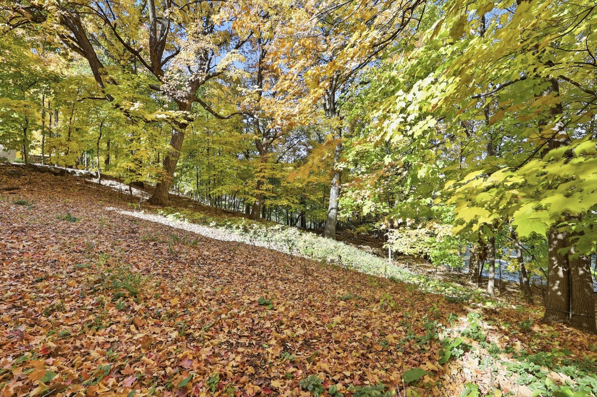 View of Residential at 15304 Fish Lake Road, Maple Grove MN 55311, Maple Grove (49 of 59) - Mike Wilen | Minnesota Team Real Estate