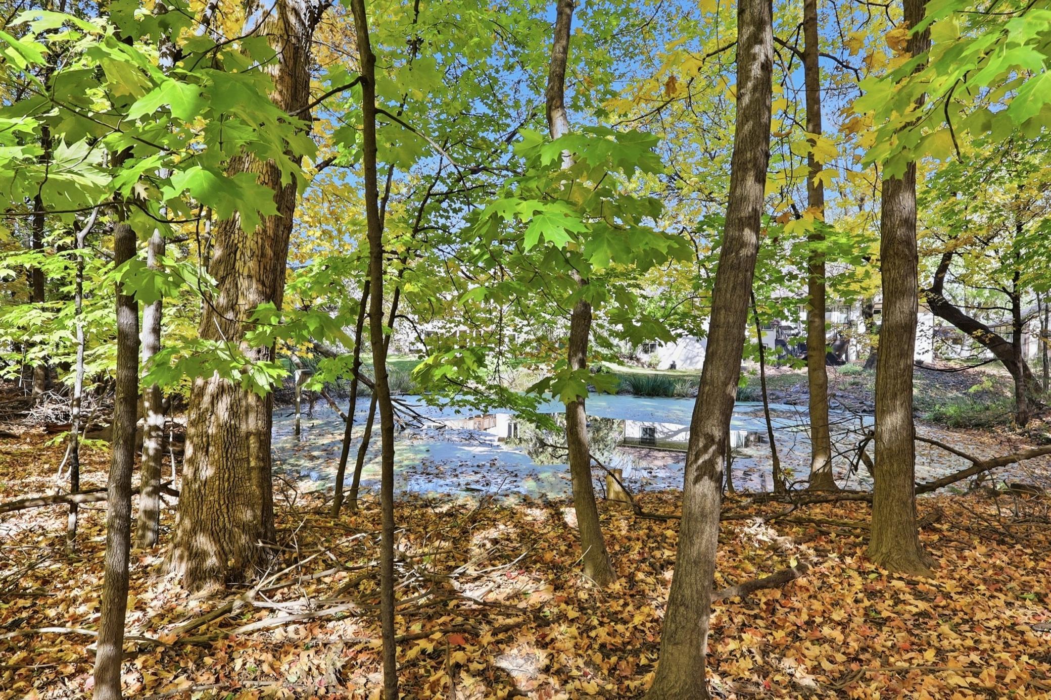 View of Residential at 15304 Fish Lake Road, Maple Grove MN 55311, Maple Grove (4 of 59) - Mike Wilen | Minnesota Team Real Estate