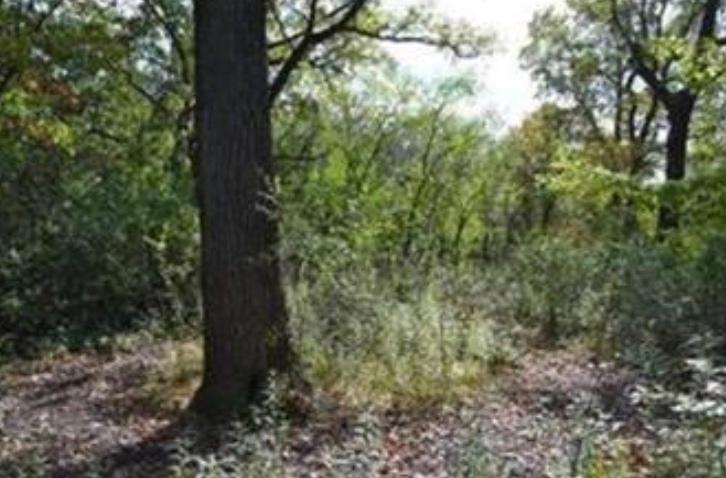 View of Residential Lot at 7106 Valley View Road, Edina - Mike Wilen | Minnesota Team Real Estate