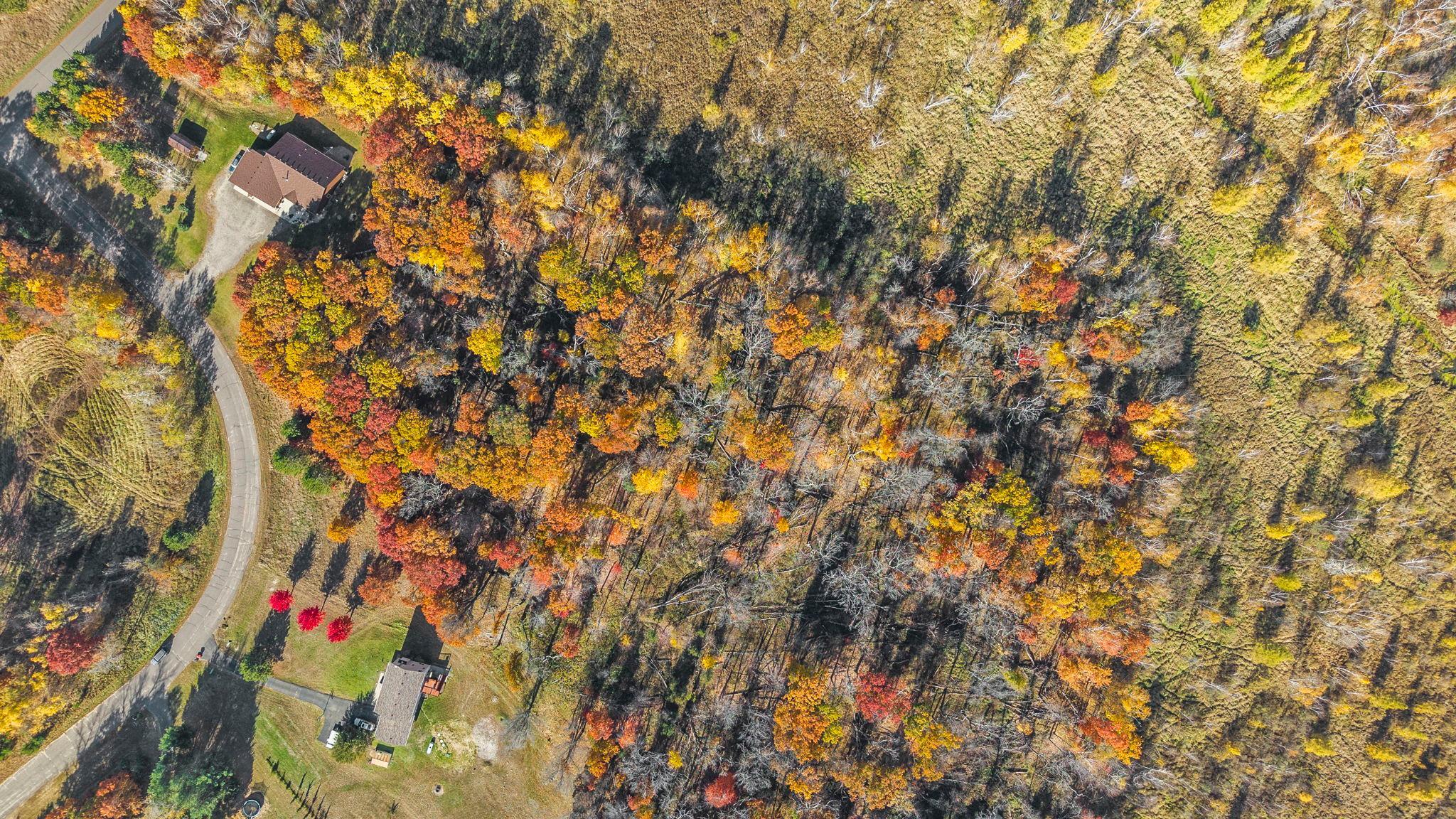 View of Land at 27xx 300th Avenue, Isanti MN 55040, Isanti (15 of 26) - Mike Wilen | Minnesota Team Real Estate