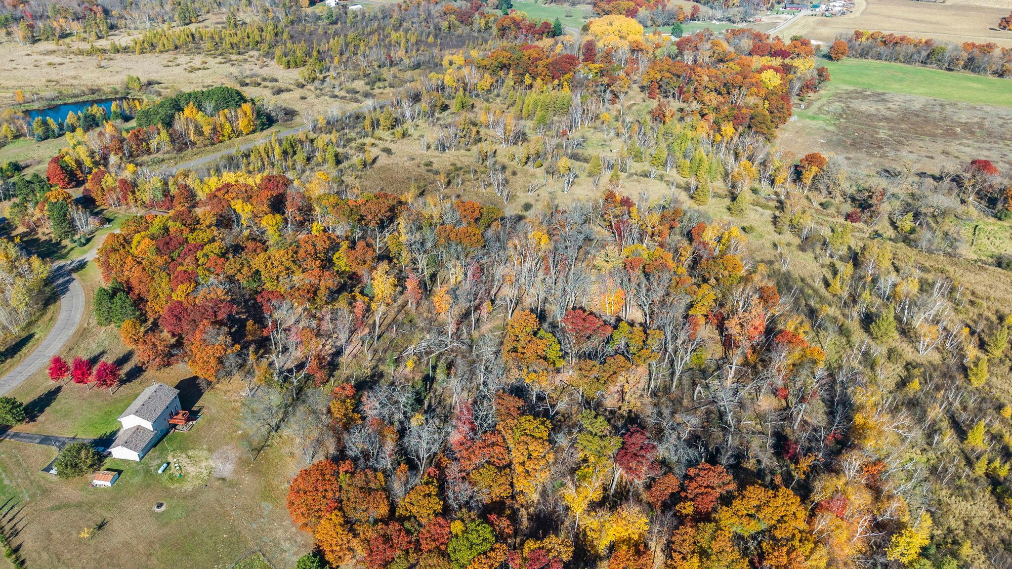 View of Land at 27xx 300th Avenue, Isanti MN 55040, Isanti (13 of 26) - Mike Wilen | Minnesota Team Real Estate