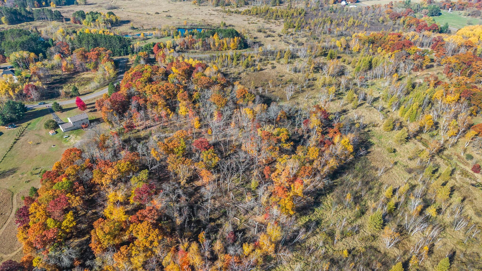 View of Land at 27xx 300th Avenue, Isanti MN 55040, Isanti (9 of 26) - Mike Wilen | Minnesota Team Real Estate