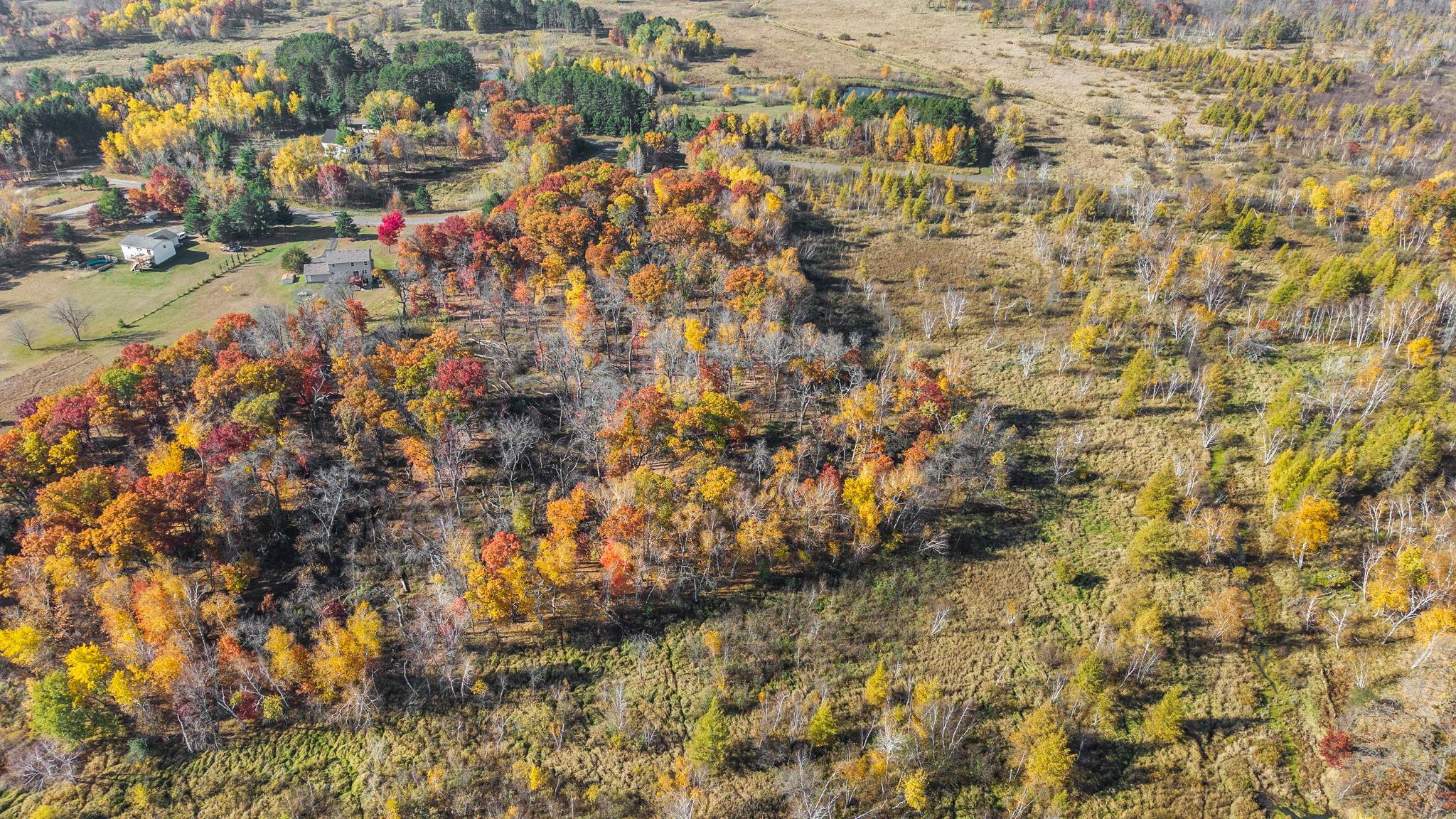 View of Land at 27xx 300th Avenue, Isanti MN 55040, Isanti (8 of 26) - Mike Wilen | Minnesota Team Real Estate
