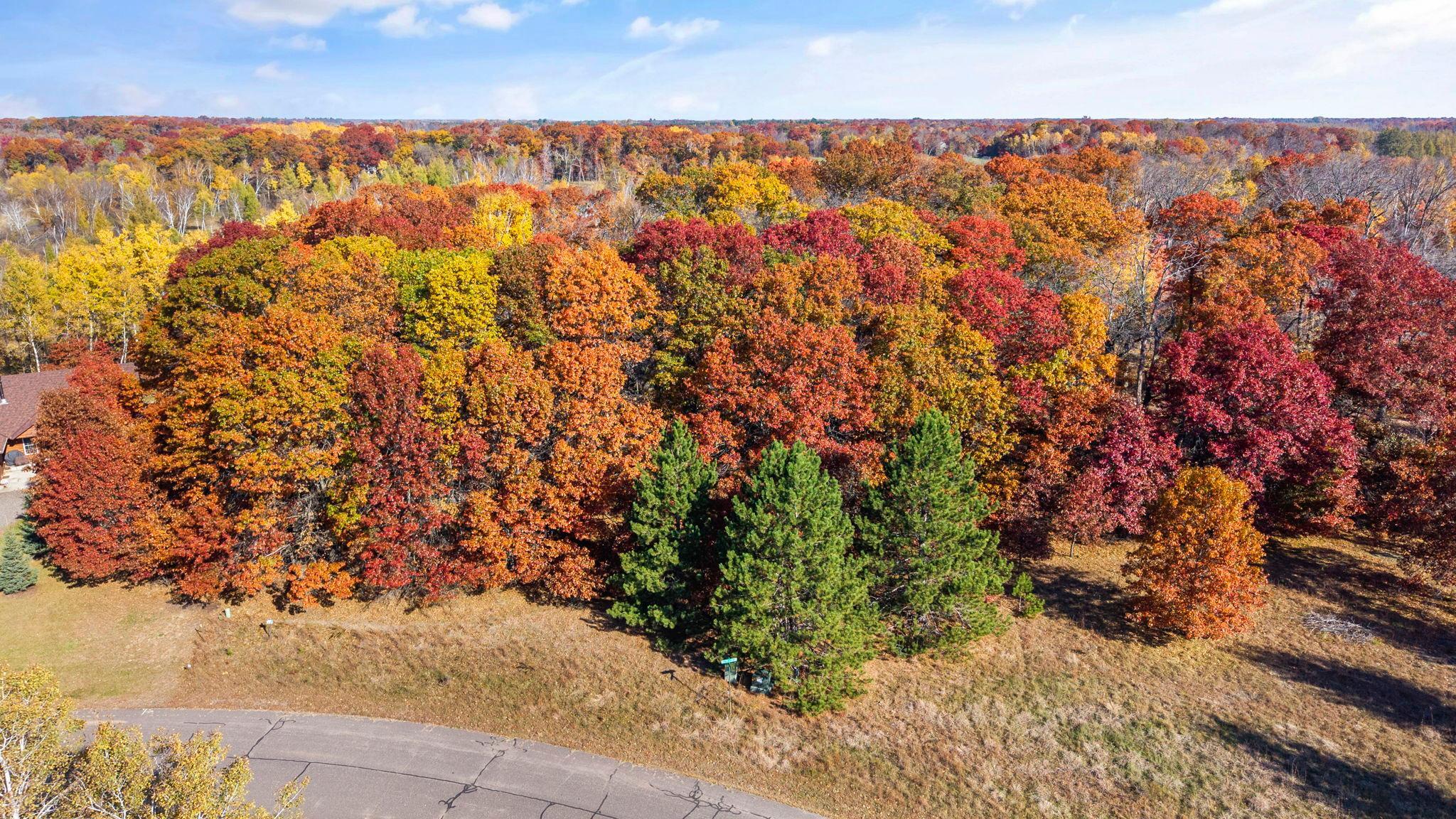 View of Land at 27xx 300th Avenue, Isanti MN 55040, Isanti (3 of 26) - Mike Wilen | Minnesota Team Real Estate