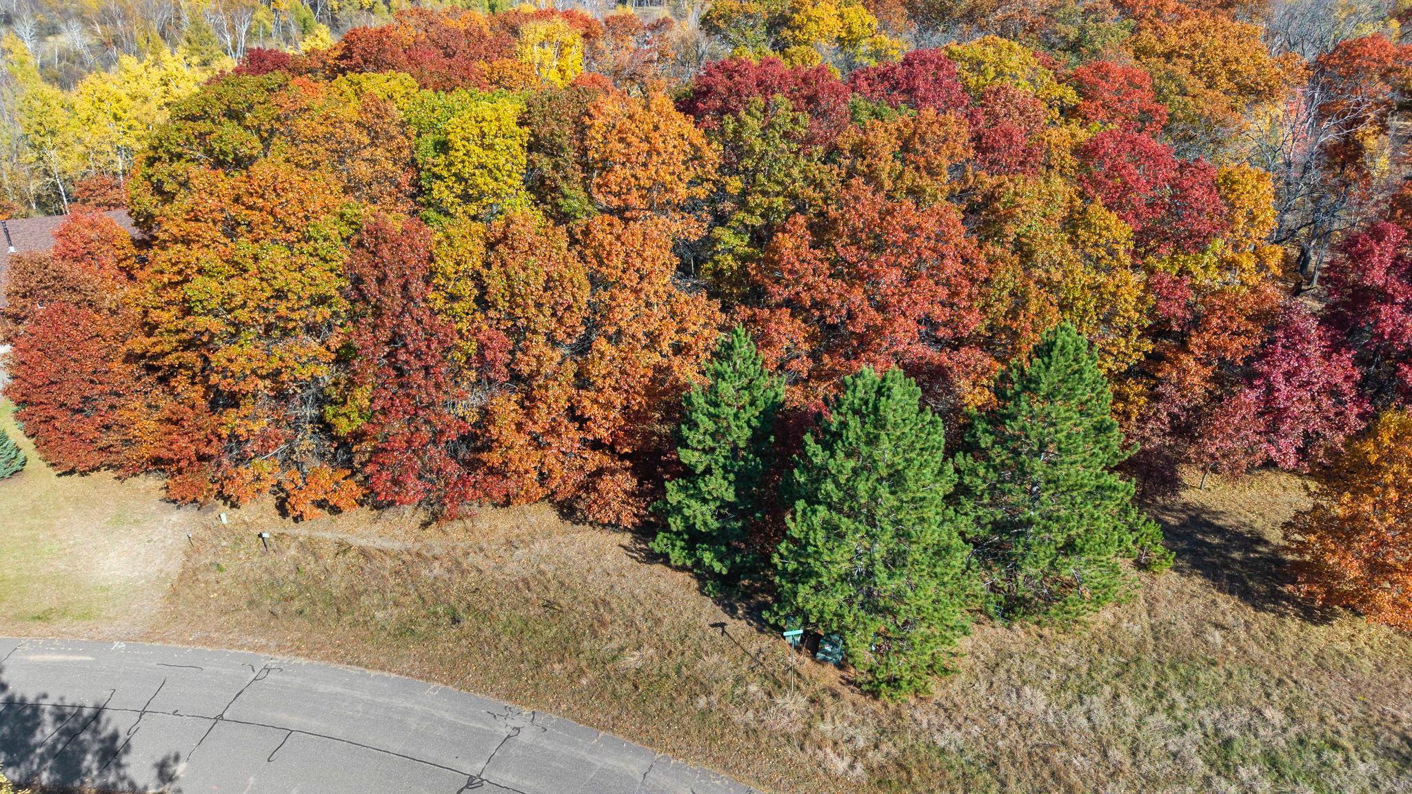View of Land at 27xx 300th Avenue, Isanti MN 55040, Isanti (4 of 26) - Mike Wilen | Minnesota Team Real Estate