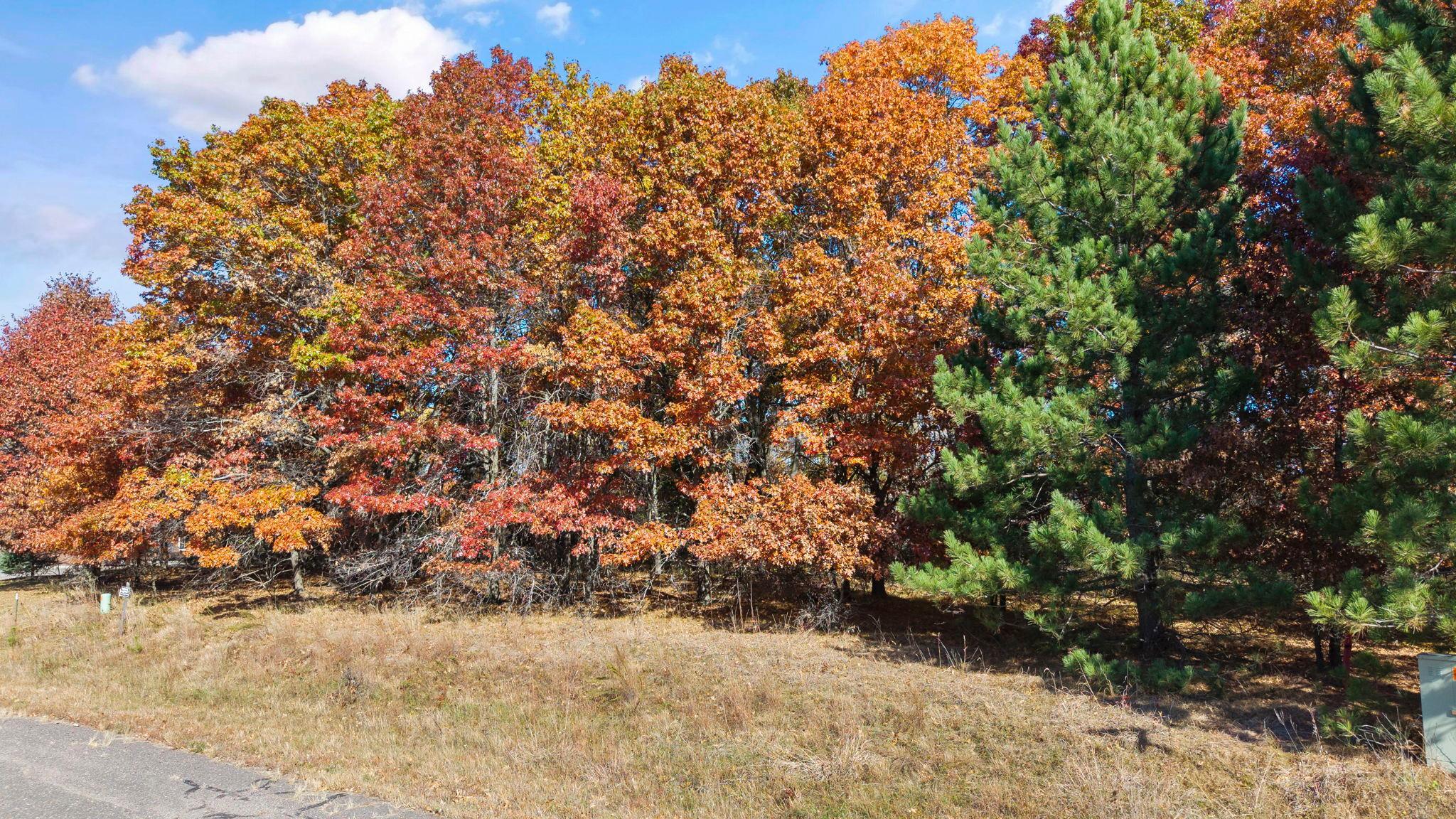 View of Land at 27xx 300th Avenue, Isanti MN 55040, Isanti (2 of 26) - Mike Wilen | Minnesota Team Real Estate