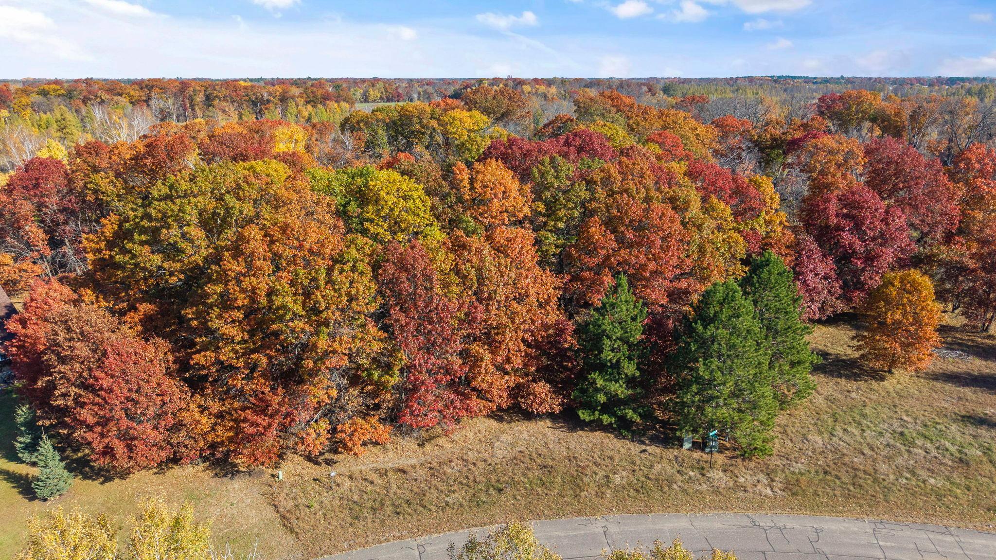 View of Lake Property, Residential Lot at 27xx 300th Avenue, Isanti - Mike Wilen | Minnesota Team Real Estate